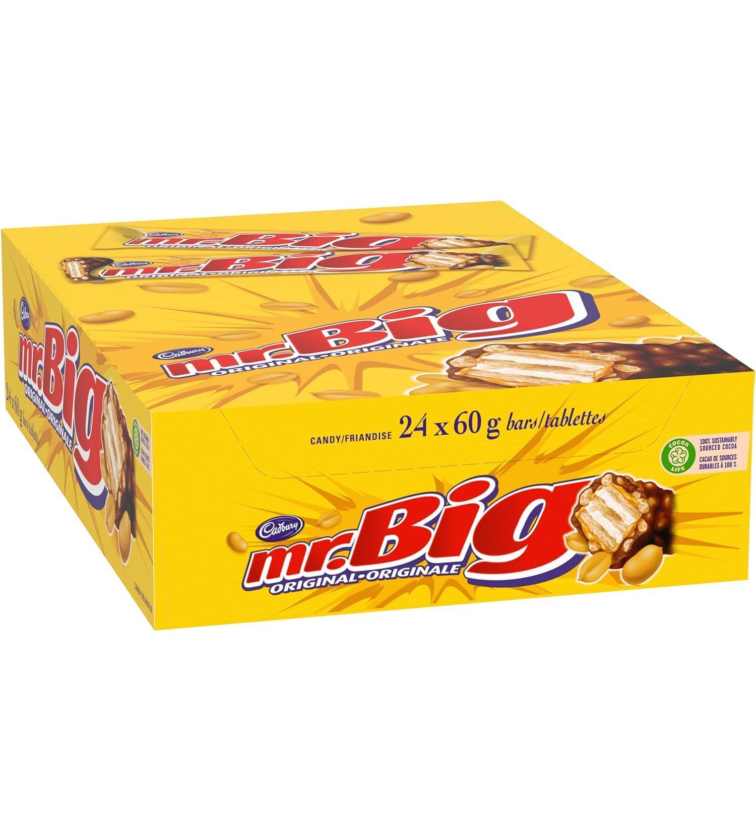 CADBURY MR BIG 24X60 GR - Buy Online on GoSupps.com