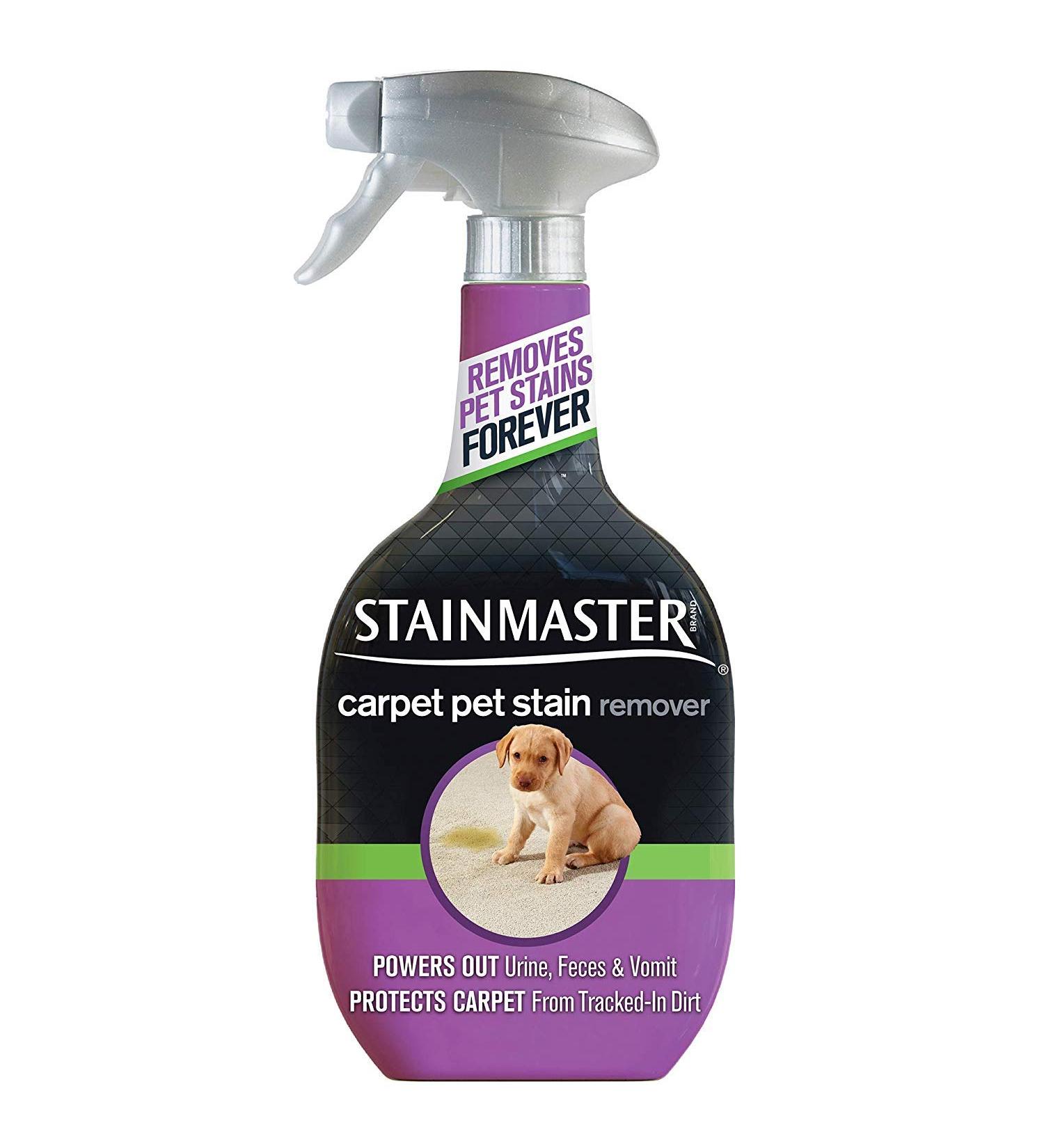Stainmaster Carpet Pet Stain Remover & Odor Remover Cleaner, 18 fl oz