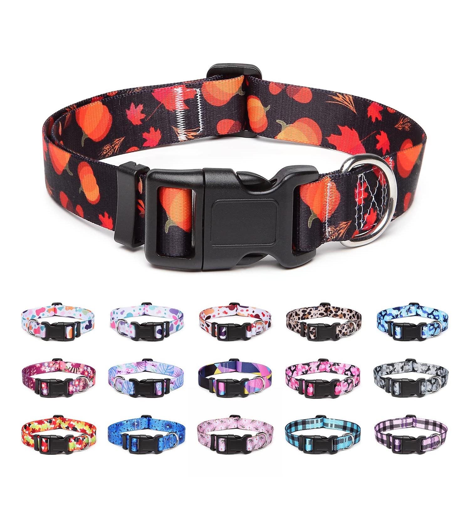 Suredoo Adjustable Dog Collar - Soft Comfort Nylon for Small Medium & Large Dogs (L Pumpkin) - Neck 38-63 cm 2.5 cm Width - Buy Online on GoSupps.com