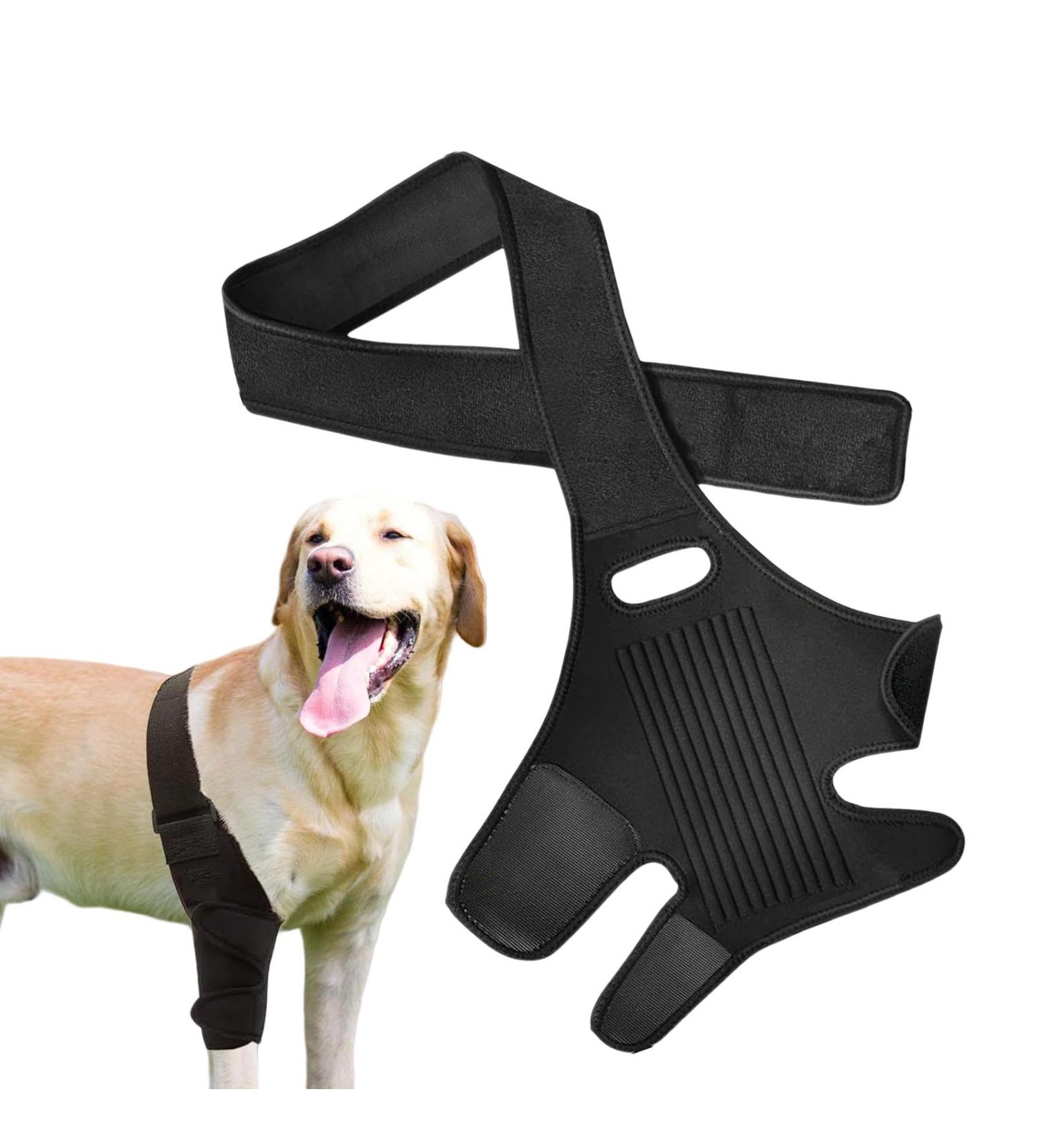 Dog Knee Brace | with 10 Support Sticks Breathable Hip Support for Dogs | Comfortable Hip and Leg Protector Breathable for Small Senior and Disabled Dogs - Buy Online on GoSupps.com