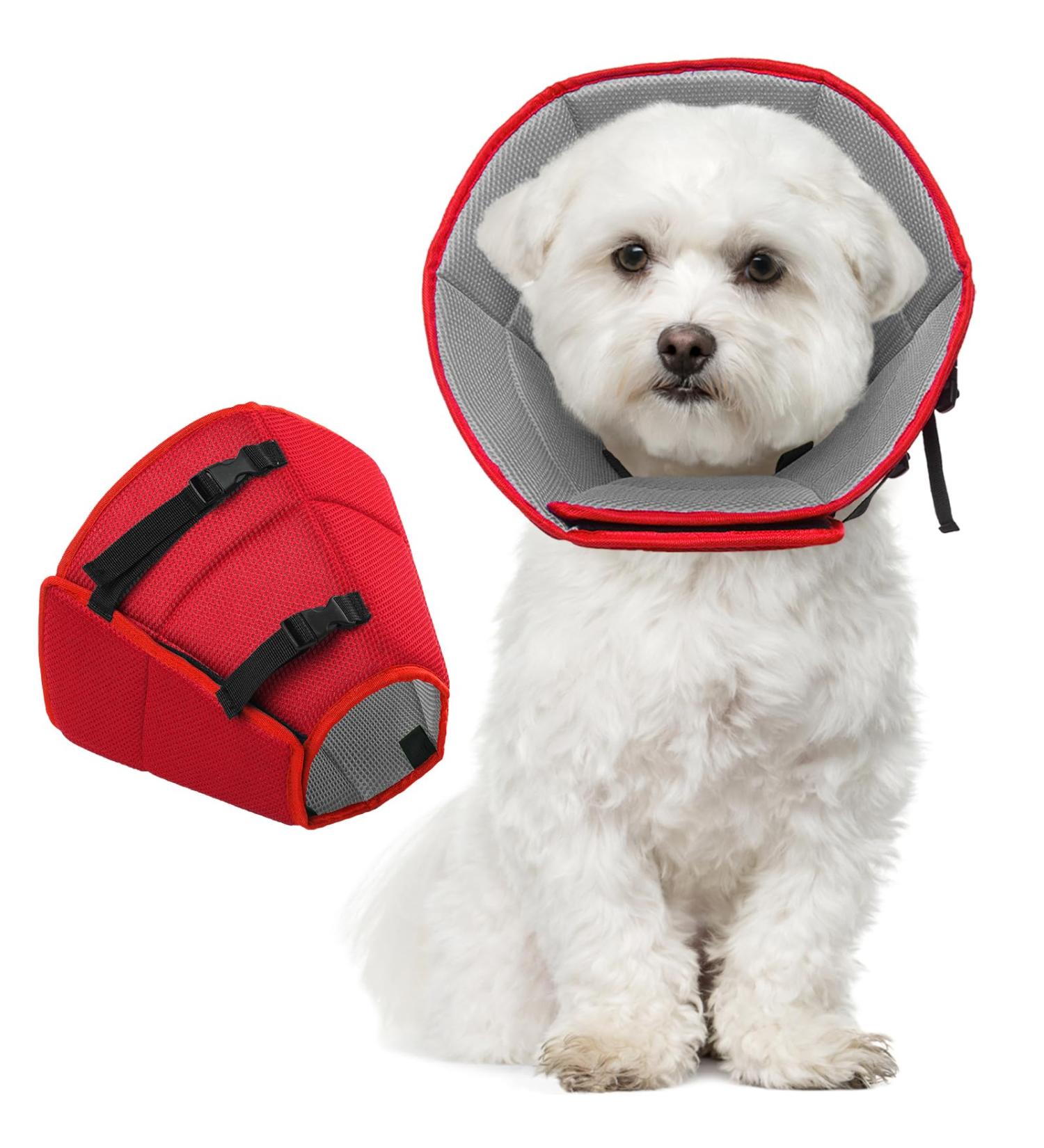 Kuoser Rescue Dog Collar - Adjustable Leak Protection & Wound Prevention - Red (24-30cm) - Buy Online on GoSupps.com