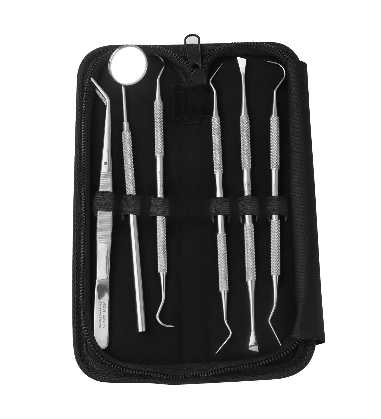 Dental Care Kit - 6 Pcs Stainless Steel Tools for Tooth Filling Repair and Pet Care - Buy Online on GoSupps.com