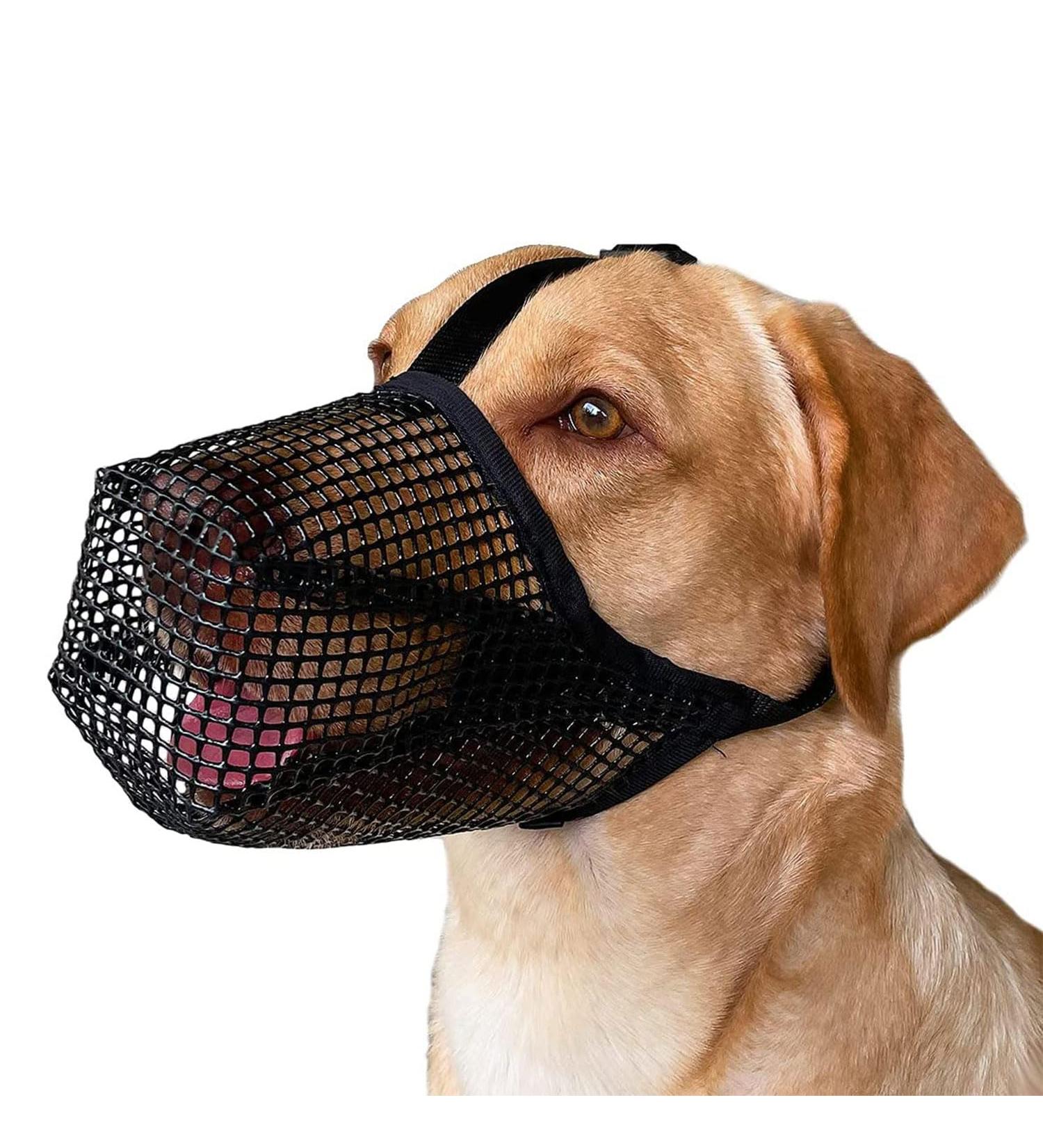 Breathable Black XL Mesh Dog Muzzle - Adjustable Comfortable & Safe for All Breeds - Buy Online on GoSupps.com