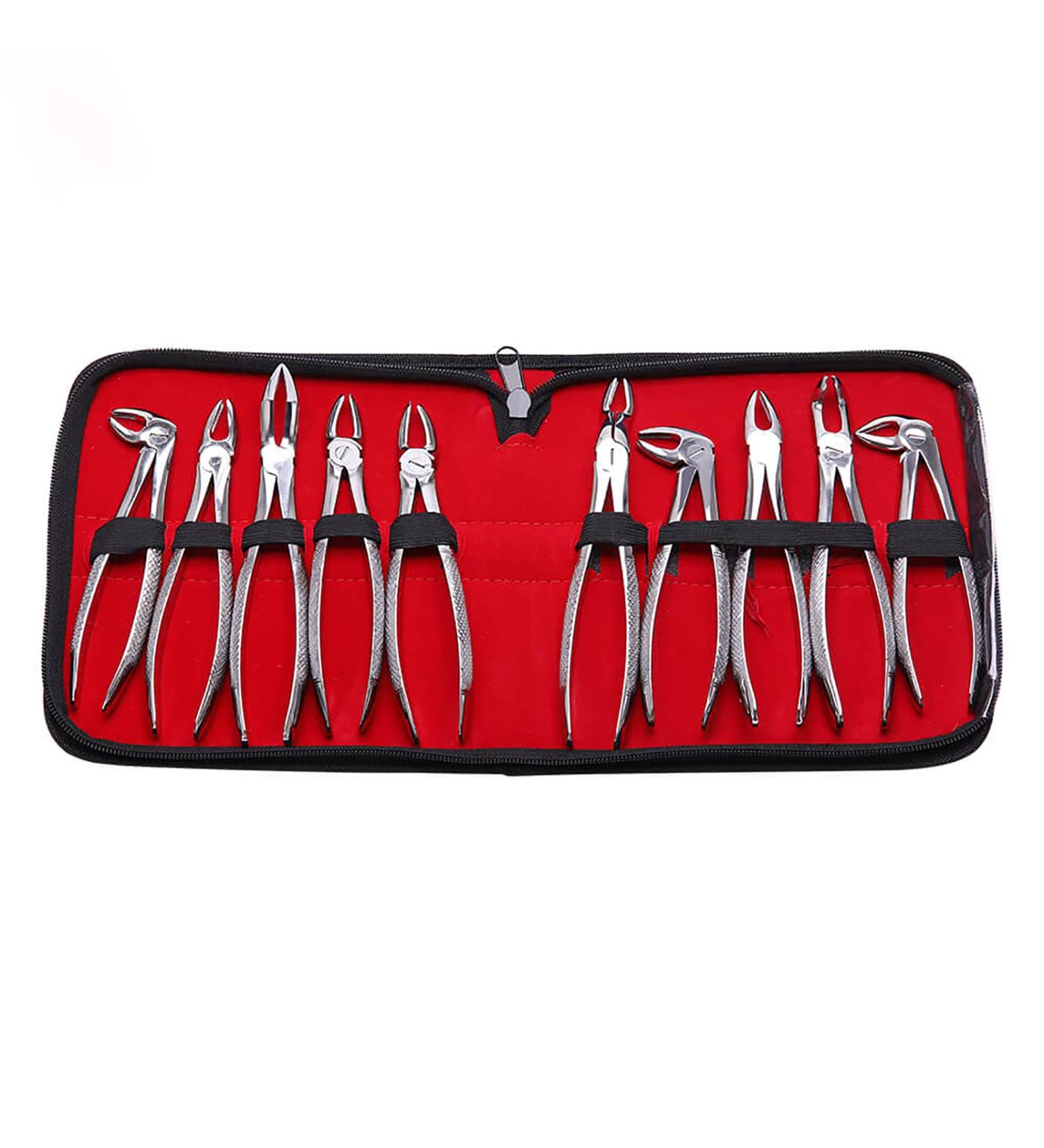 Mzlaly Dance Suit for Children | Stainless Steel Dental Extraction Instruments - 10 Piece Kit for Adults | Durable Dental Tongs in Silver - Buy Online on GoSupps.com