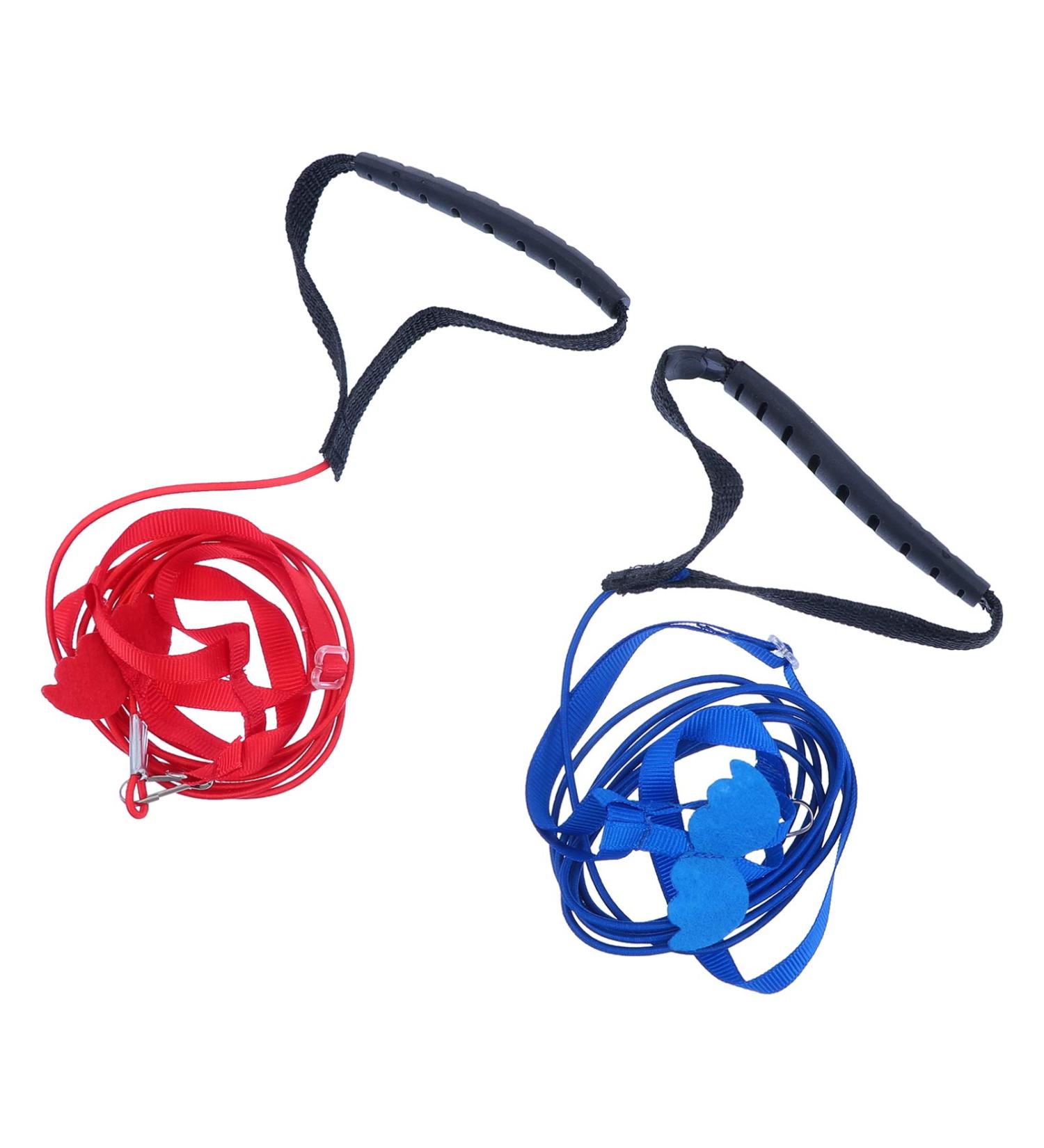 2pcs Harness Adjustable Bird Blue Leash Conure Lovely Traction Wing Training Conical with Pet for S Assorted Color - Buy Online on GoSupps.com