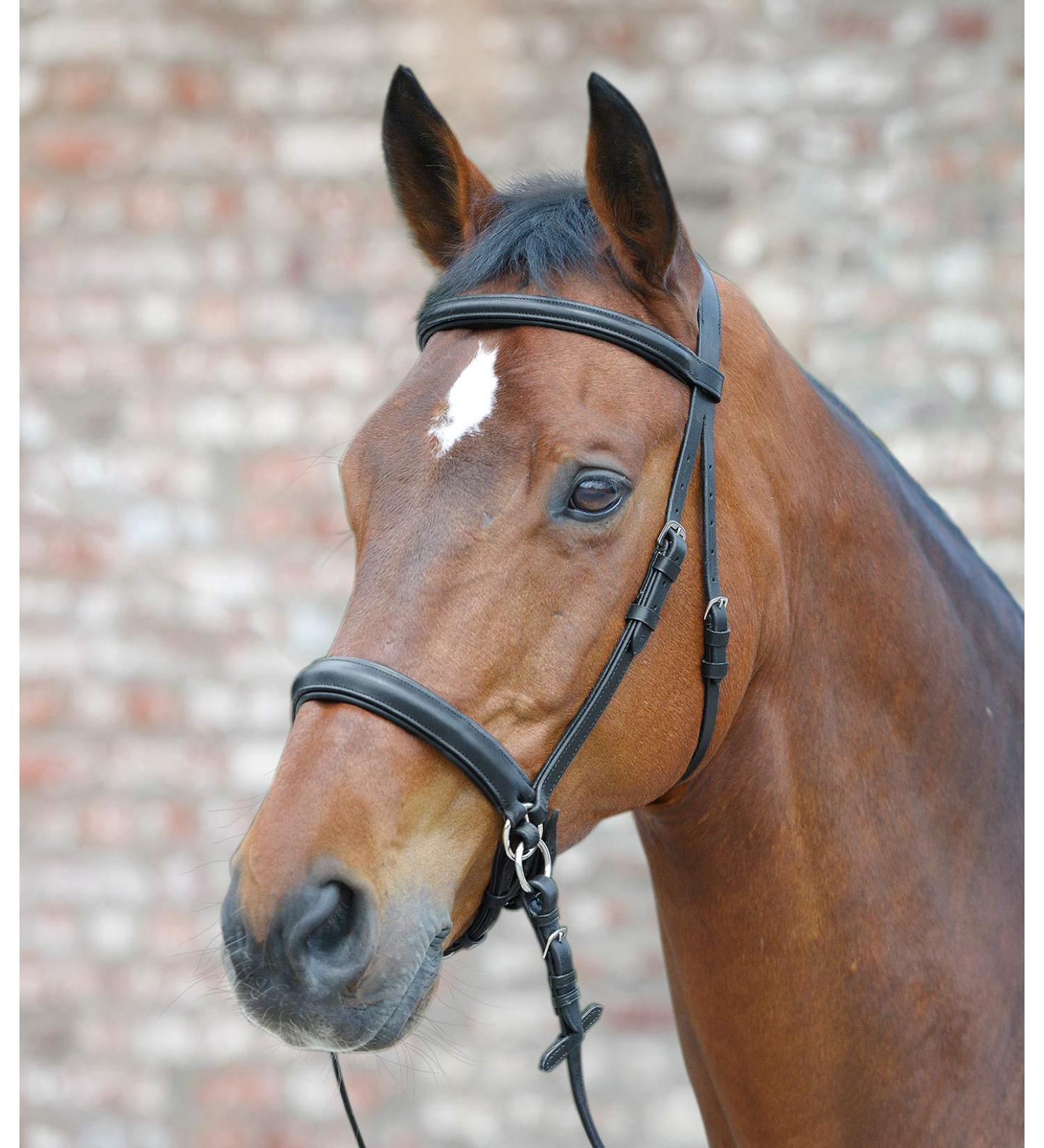 Equipride leather bridle bitless scrawbig style with soft reins full COB pony (pony)