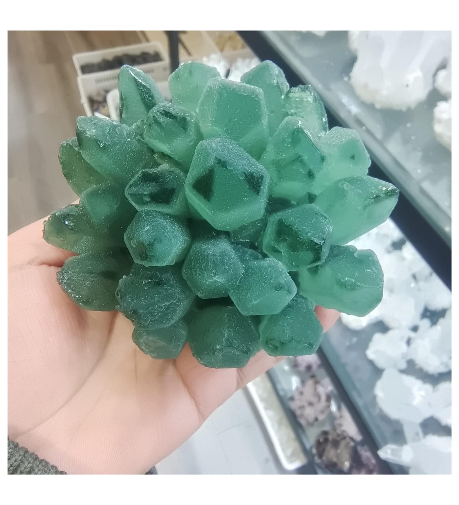 Crystal Cluster 300-1000g Natural Green Ghost Phantom Quartz Crystal Cluster Specimen ningxiao (Size : 600-700g) - Buy Online on GoSupps.com