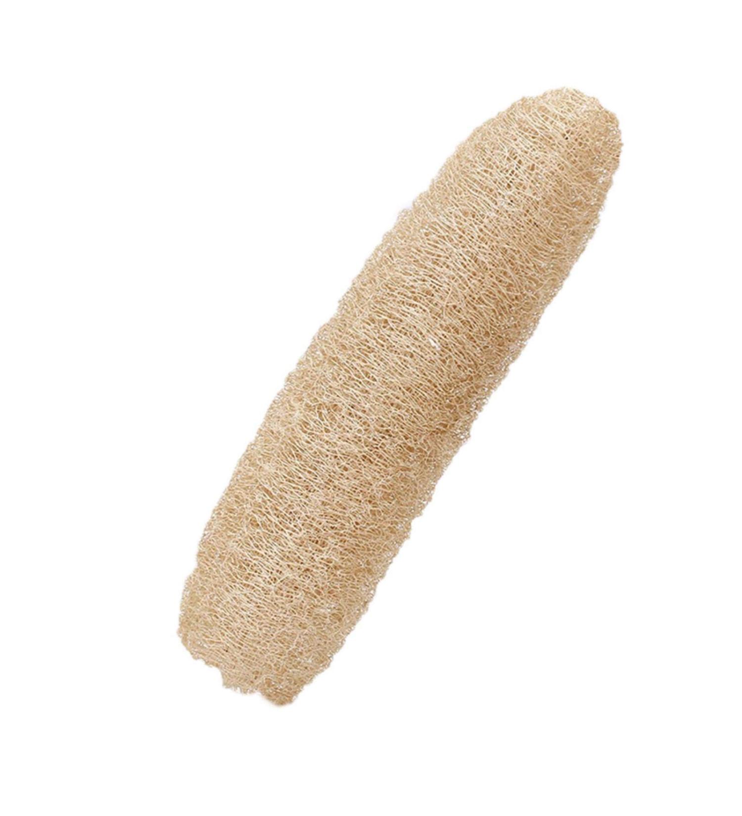 Luffashwamm Pumpkin Cleaning Brush Sponge - Eco-Friendly Kitchen Towel & Scrubbing Tool for Kitchen & Bathroom (1 Pack) - Buy Online on GoSupps.com