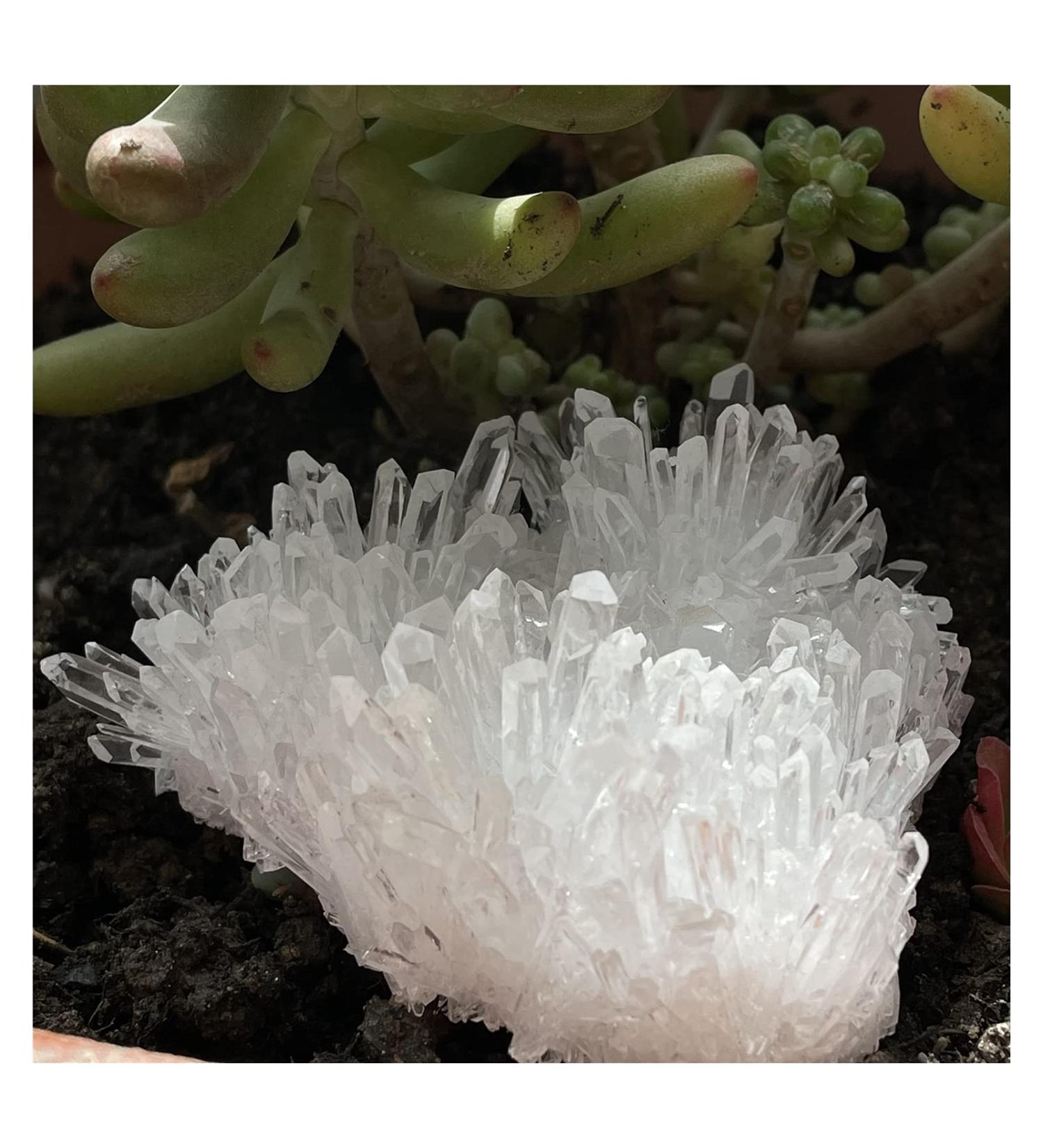 Natural Clear Quartz Crystal Cluster Minerals Reiki Stone Home Furnishing Decoration ZJGIDTEM (Size : 400-500g) - Buy Online on GoSupps.com