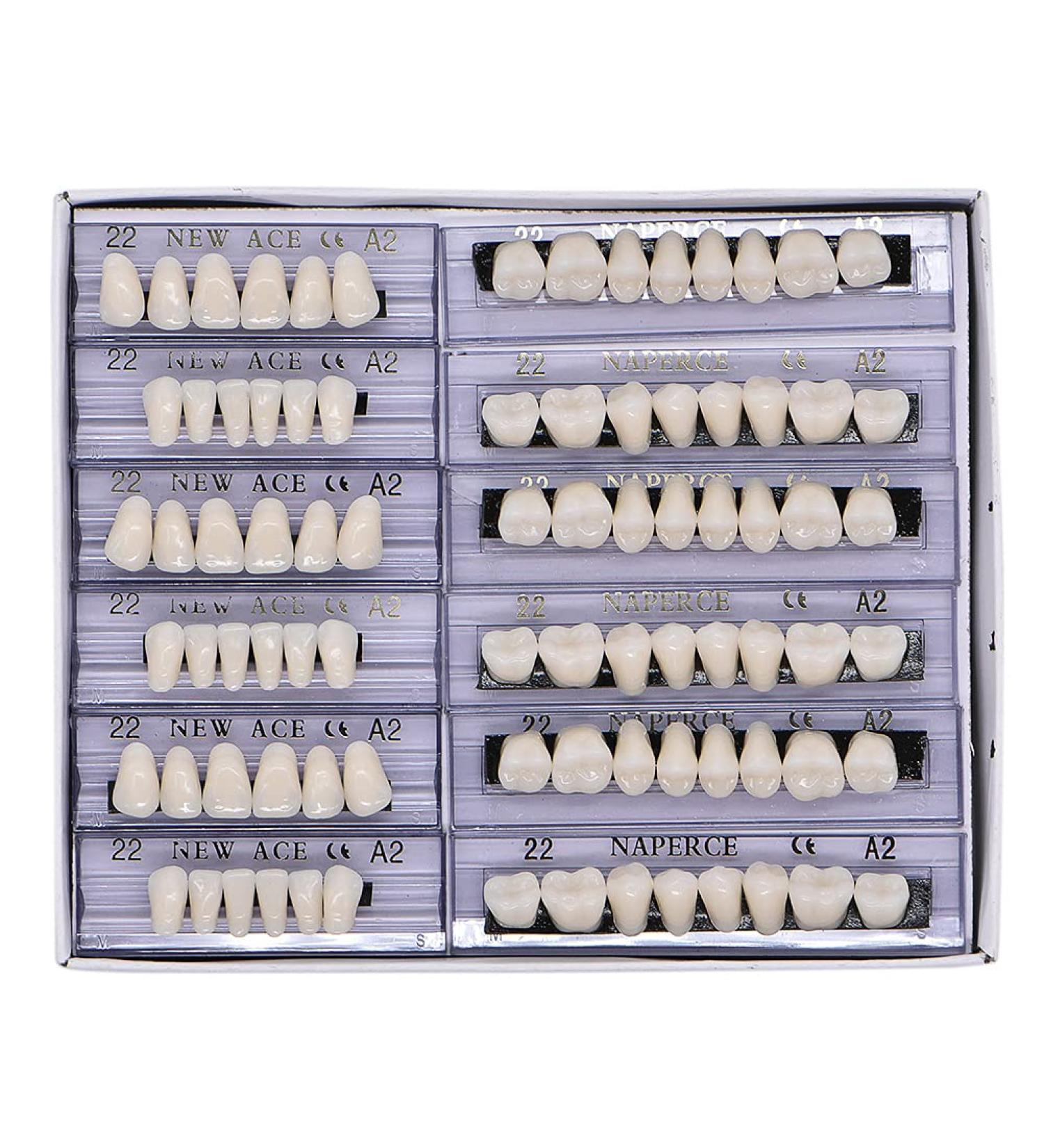 Dental Synthetic Resin Tooth Denture Set - 168 Pcs, 22 A2 Upper Lower Shade, Halloween Horror Teeth - Buy Online on GoSupps.com
