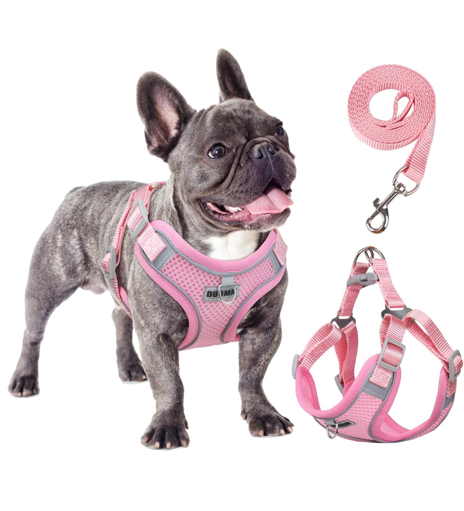 Rennaio No Pull Dog Harness & Leash Set - Adjustable Ultra Breathable Padded Vest for Small & Medium Dogs - Pink XL - Buy Online on GoSupps.com