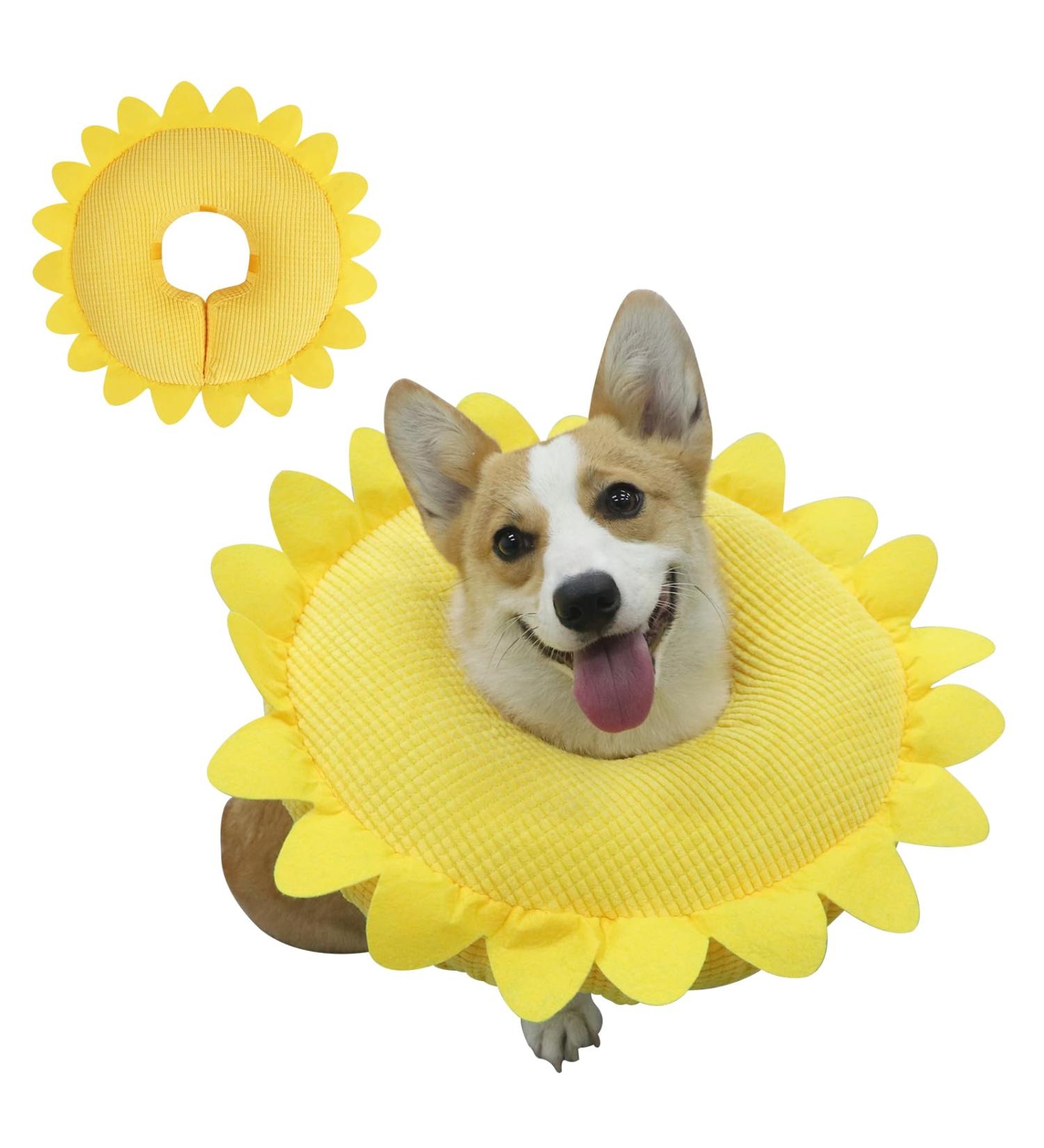 Buy Ieuumler Inflatable Dog Collar - Adjustable Leak Protection for Dogs & Cats | EU004 Sunflower S - International Shipping Available - Buy Online on GoSupps.com