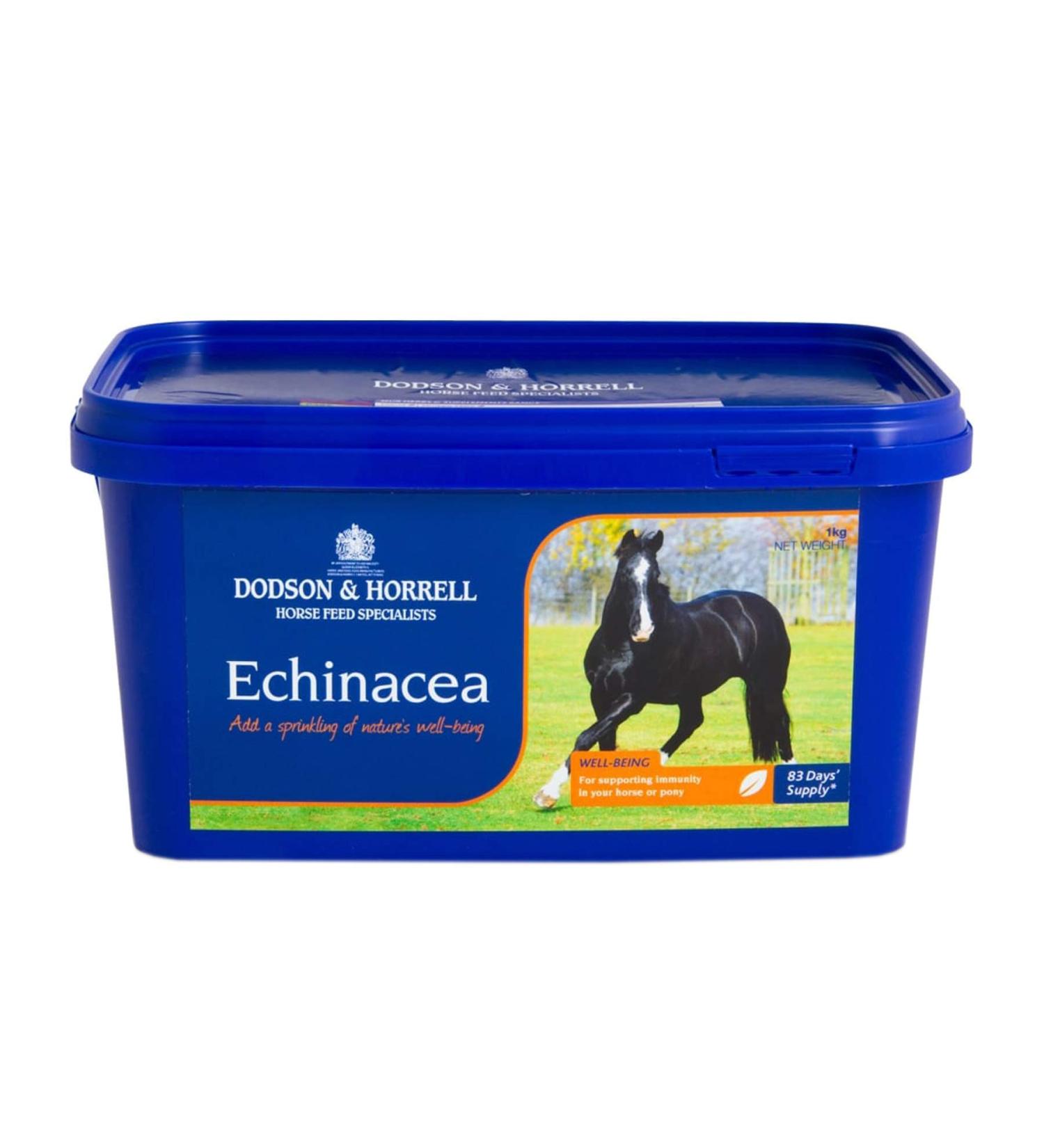 Dodson & Horrell Echinacea Horse Supplement 1 kg Echinacea 1 kg (Pack of 1)