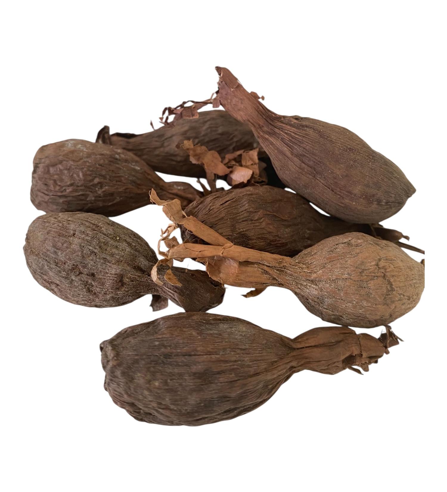 RMY Maniguette enti re Gousse de piment de Guin e (graines de paradis) piment alligator ou poivre alligator-6/ PCS - Buy Online on GoSupps.com