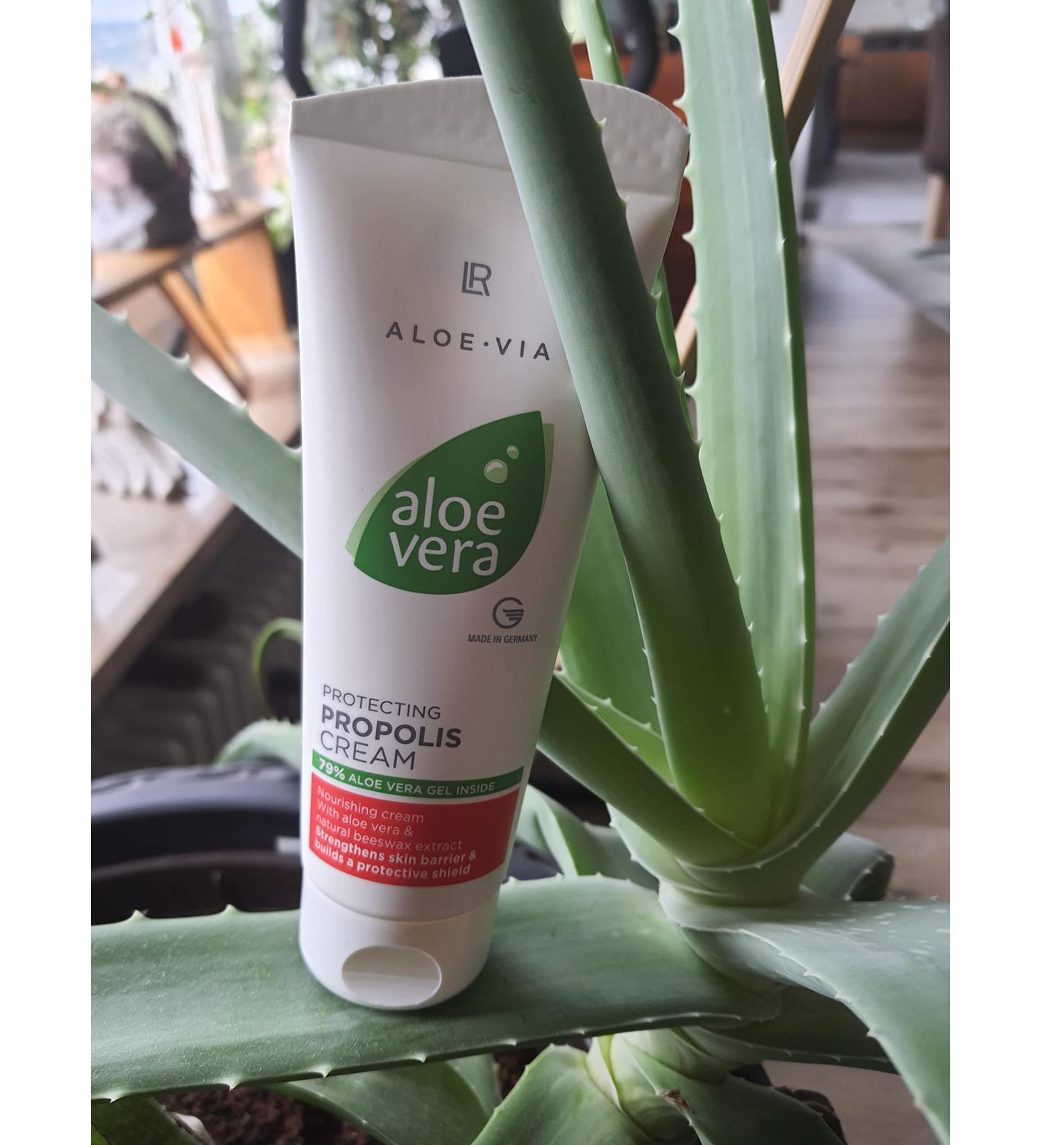 LR Aloe Vera Protective Propolis Cream (100ml) 100 ml (1 pack)