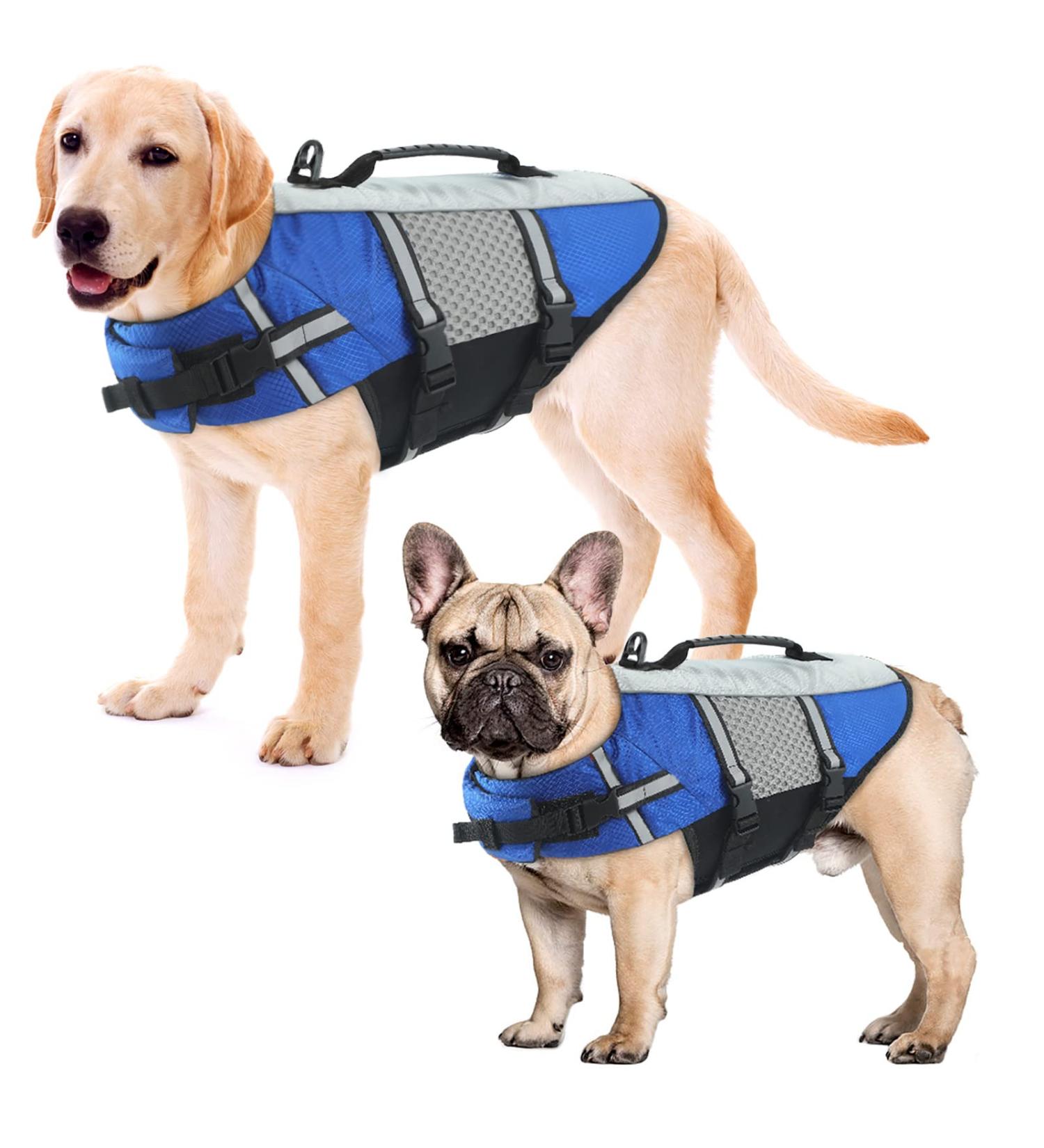 Alagirls Dog Lifebarf & Reflective Pet Security Vest - Adjustable Swimming Coat for Small & Medium Dogs | Rescue Handle | Blue (Chest 58-68cm) - Buy Online on GoSupps.com