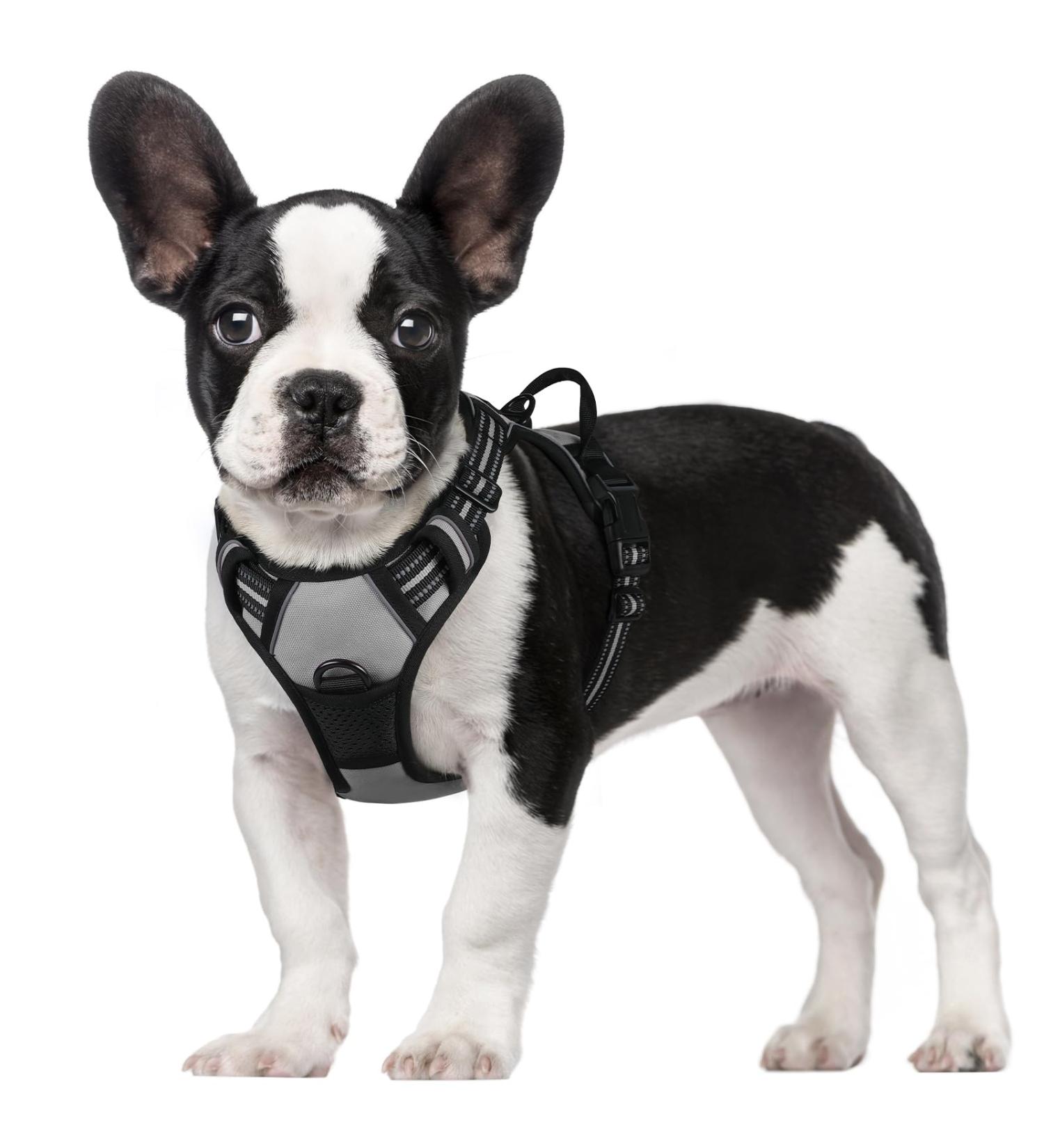 Rabbitgoo Dog Harness for Medium Dogs - No Pull Adjustable Breathable & Safe with Reflex Stripes Ideal for Training & Walking 1 Pack (Gray) - Buy Online on GoSupps.com