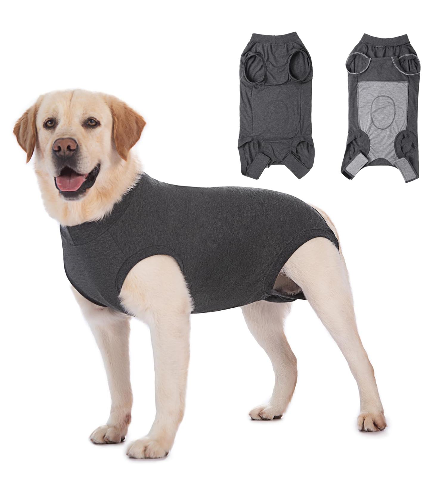 Axcimond Dog Recovery Suit Dog Onesie After Surgery Female Male Small Medium Large Dogs Surgical Recovery Suit Doggie Onesie Prevent Licking Spay Suit Chien Post Operation Dog Cone Collar Alternative M Grey - Buy Online on GoSupps.com