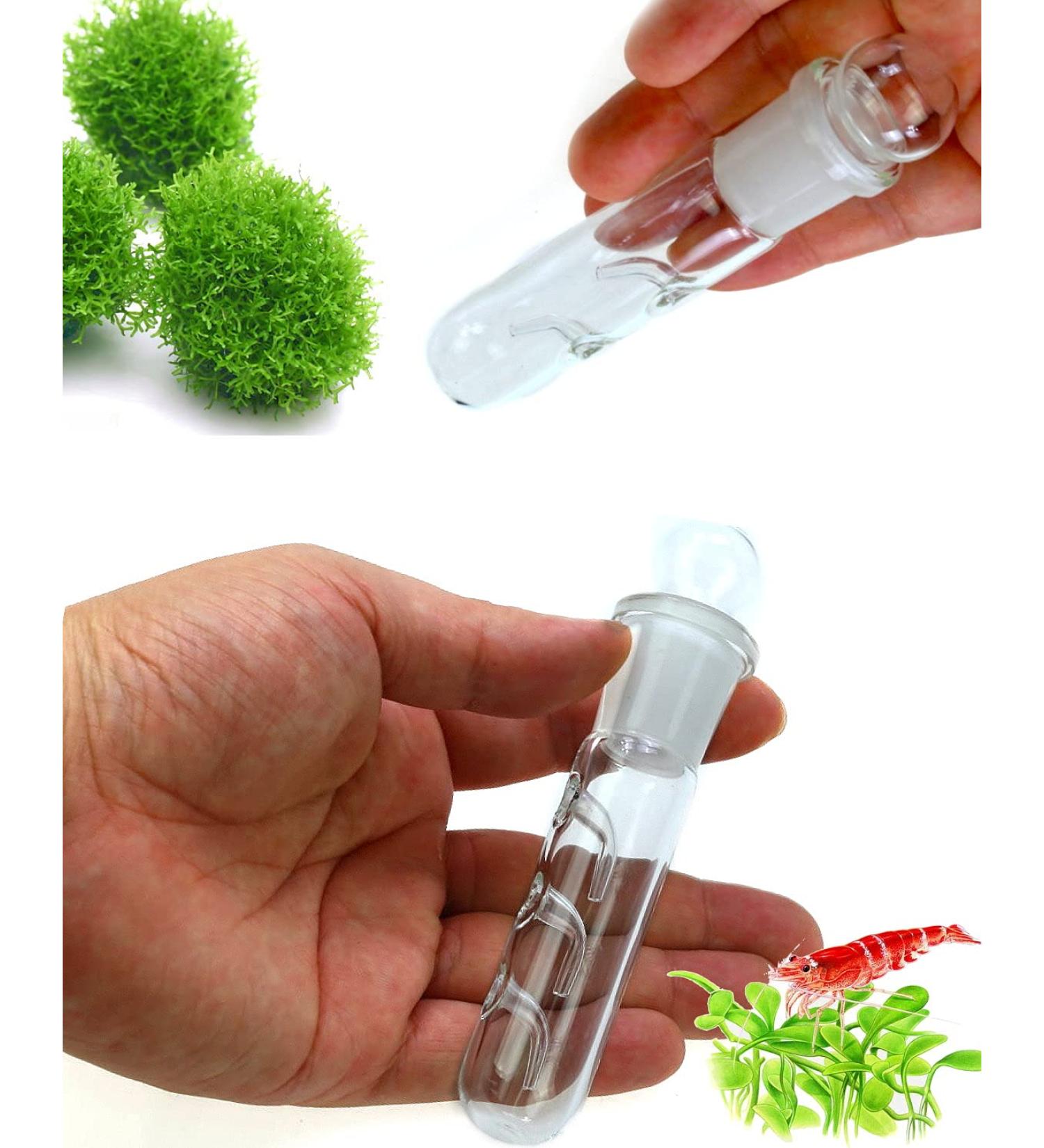 Crystal Red Shrimp Tank Planaria Trap - Bristle Worm Catcher for Cherry Shrimp, Dwarf Shrimp & Ghost Shrimp - Freshwater Cleaning Supplies - Buy Online on GoSupps.com