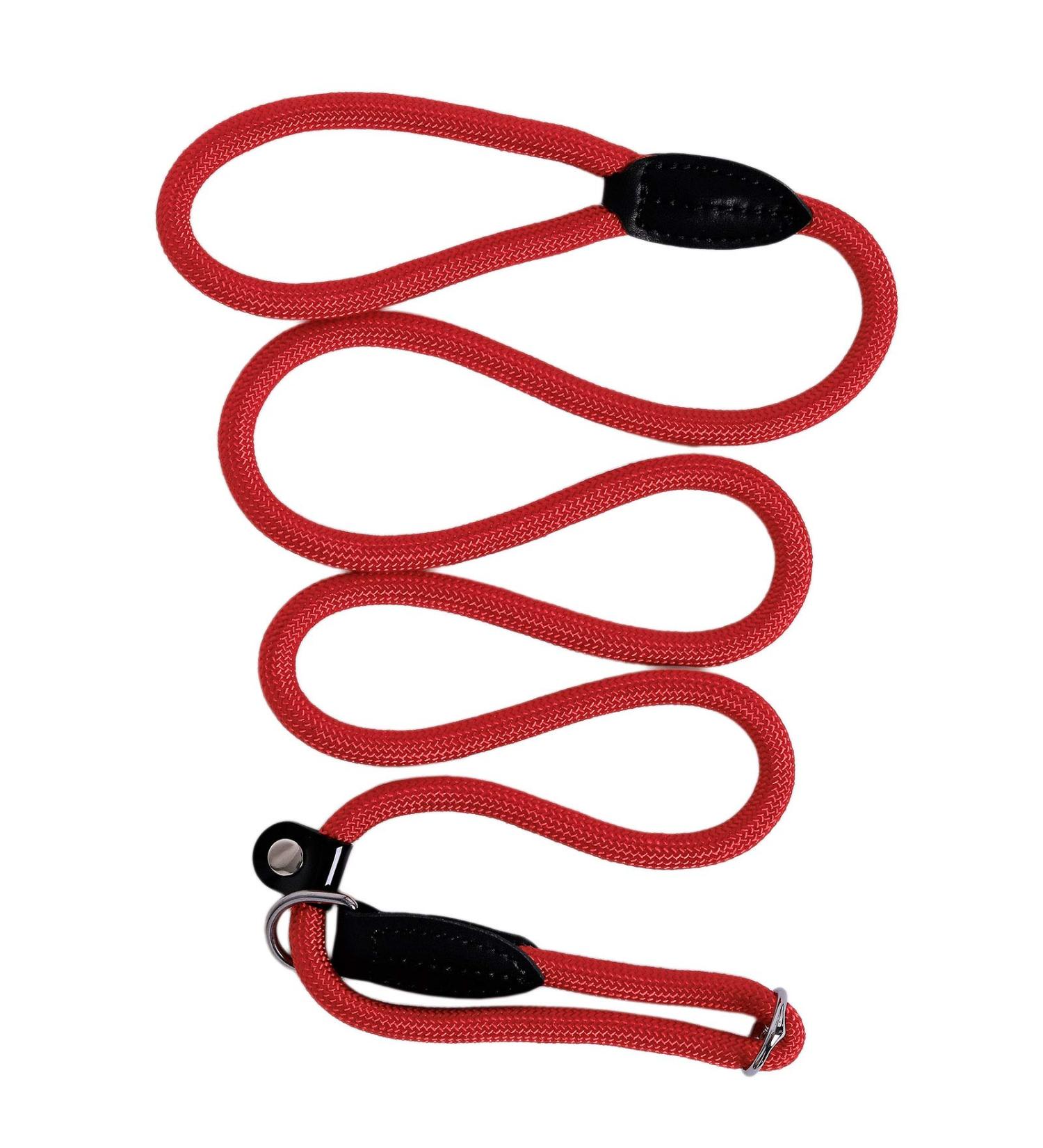 Premium Lionto Retriever Dog Leash - 170cm Weatherproof Red Pull Leash for Robust Control - Buy Online on GoSupps.com