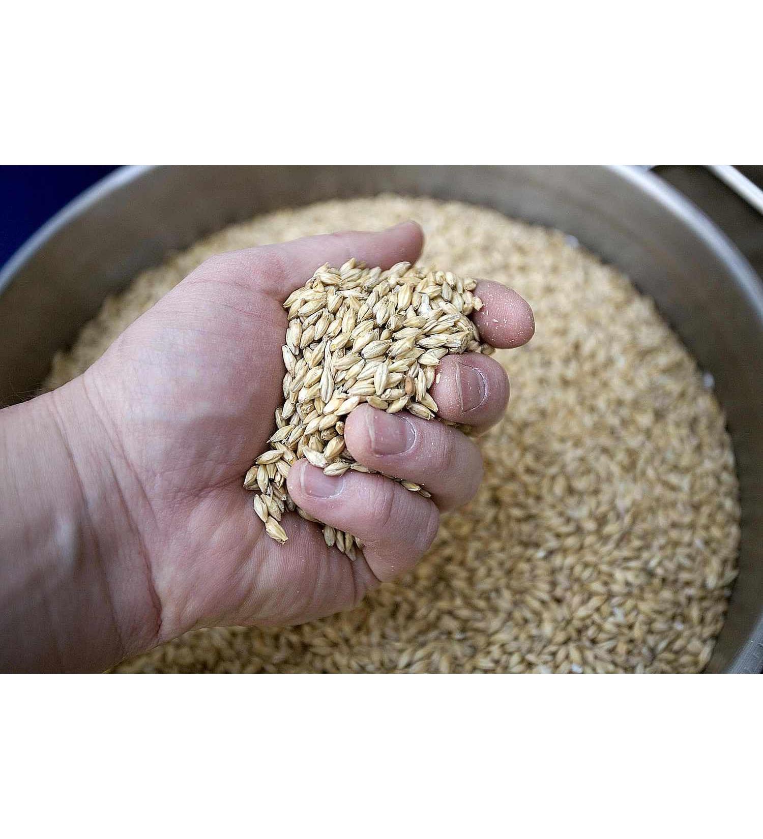 Whole Grain Barley 200g Natural