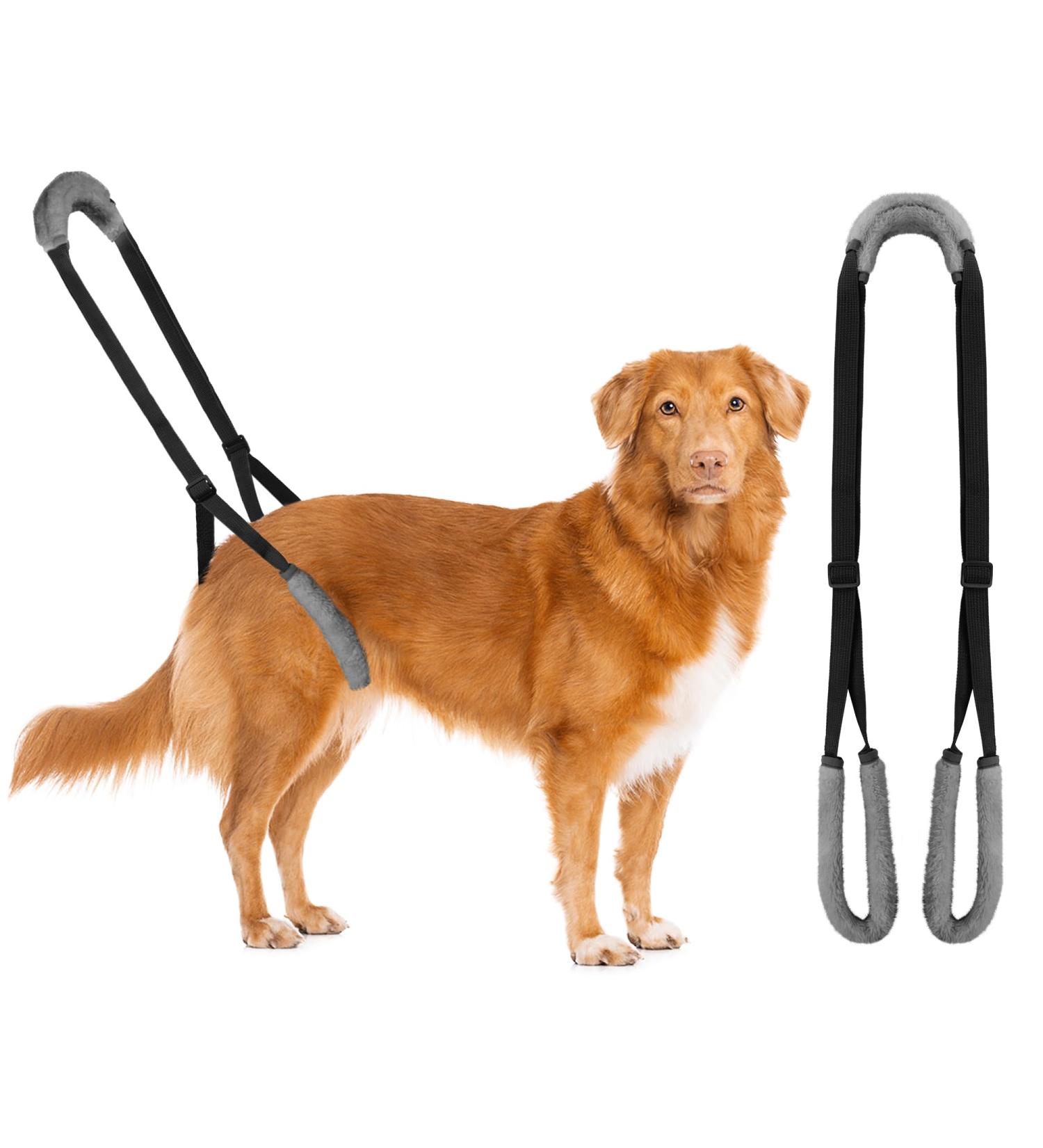 Buy Lollanda Black Walking Aid for Dogs | Support Sick & Older Dogs | Enhance Mobility with Durable Dog Dishes & Carrying Aid - Buy Online on GoSupps.com