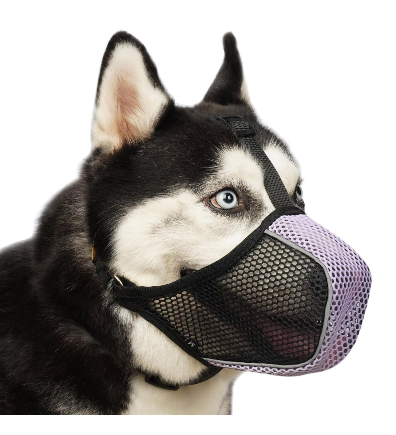 Soft Dog Muzzle for Large & Small Breeds | Breathable Muzzle for Grooming & Chewing | Perfect Fit for Labrador Poodle & Husky - M Size (9 -10 ) - Buy Online on GoSupps.com