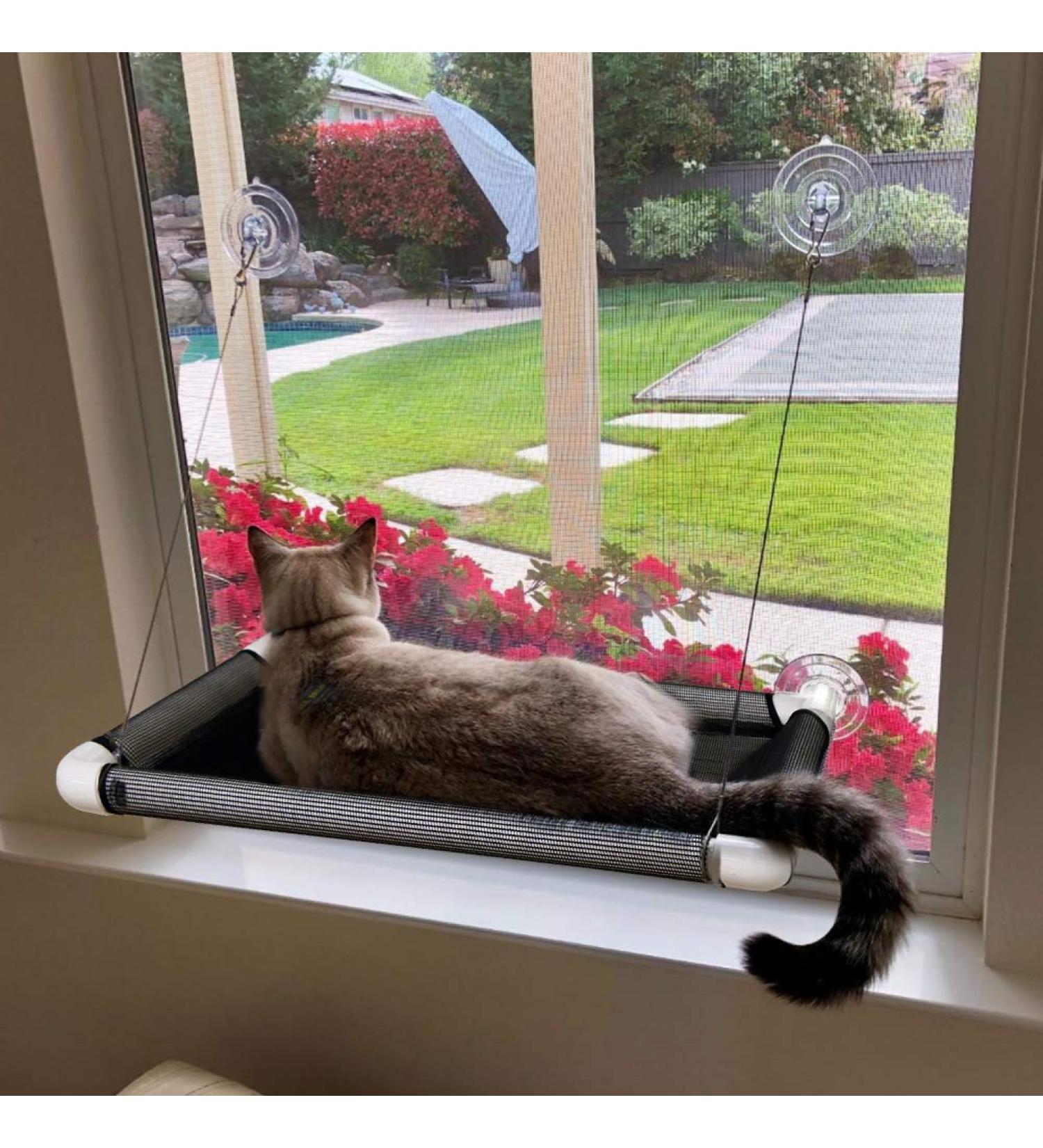 Lcybem Cat Window Hammock - Sturdy Suction Cups Window Perch for Cats - Holds Two Large Cats - 360 Sunbathe - Indoor Cat Window Seat - Buy Online on GoSupps.com