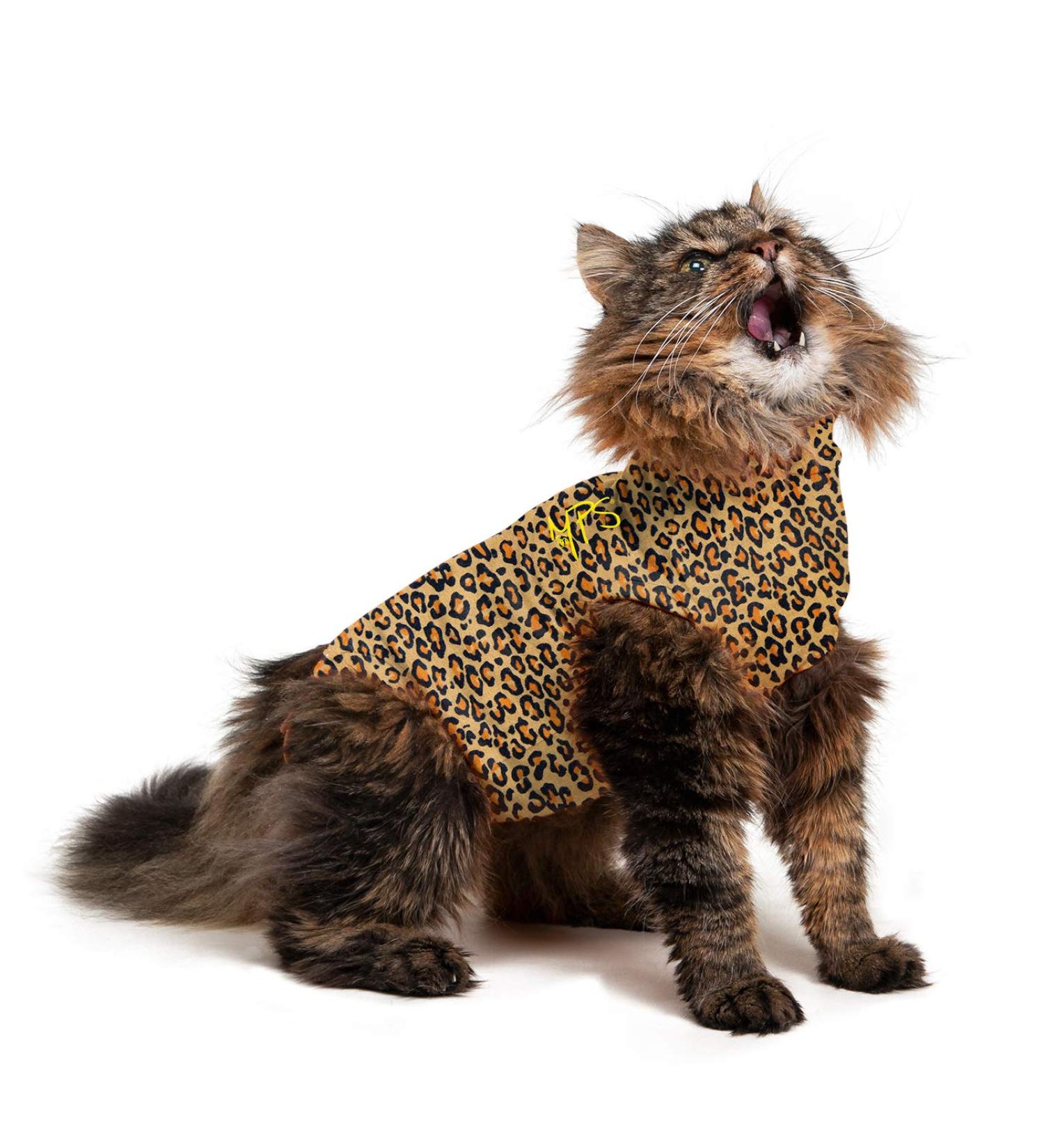 MPS Medical Pet Shirt for Cats - Leopard Print Size S | Stylish & Functional International Shipping - Buy Online on GoSupps.com