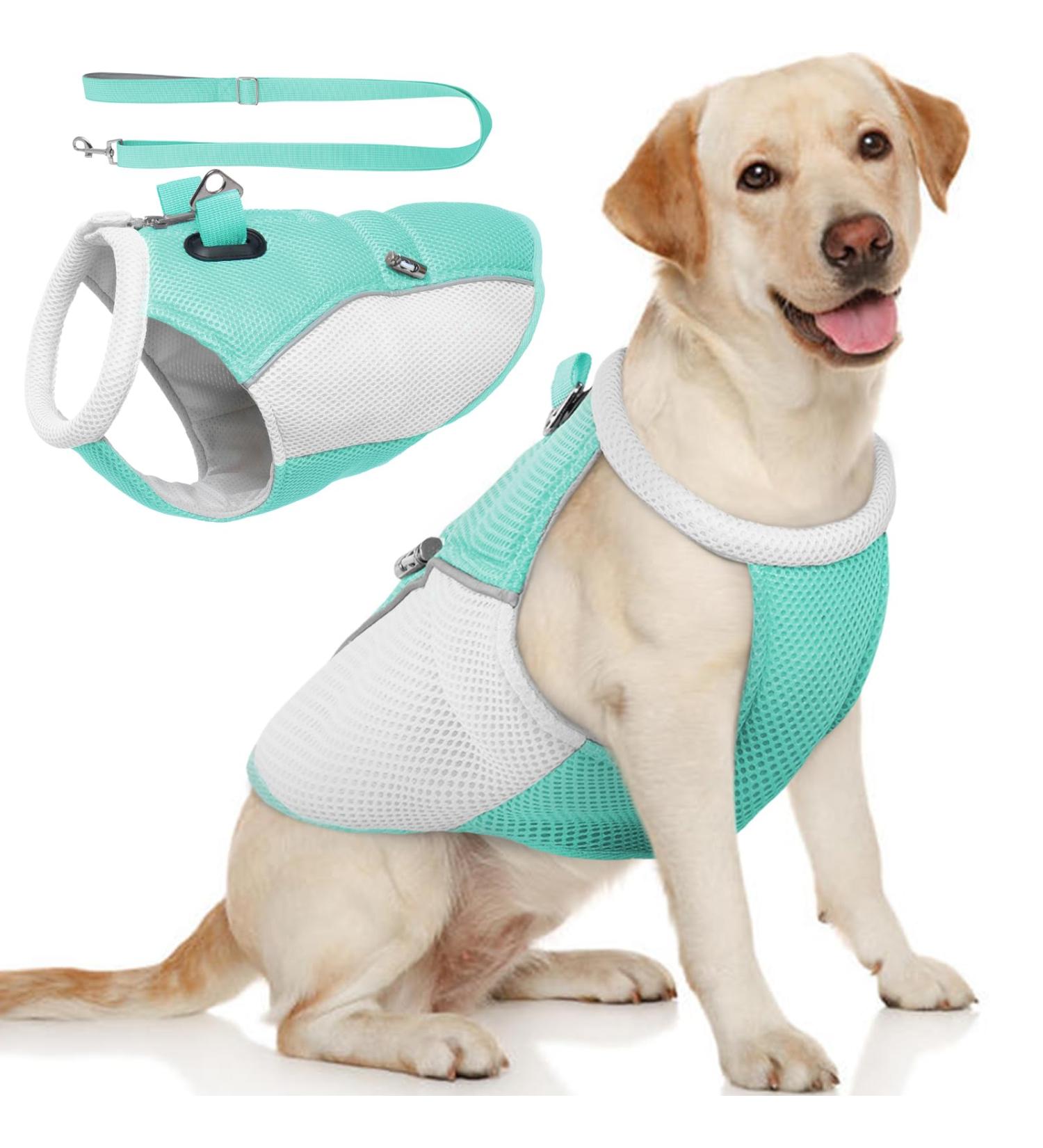 Buy Hjyokuso Cool Vest for Dogs - Cooling Jacket for All Sizes (Small Medium Large) - Perfect for Summer Activities & Training - XL Blue - Buy Online on GoSupps.com