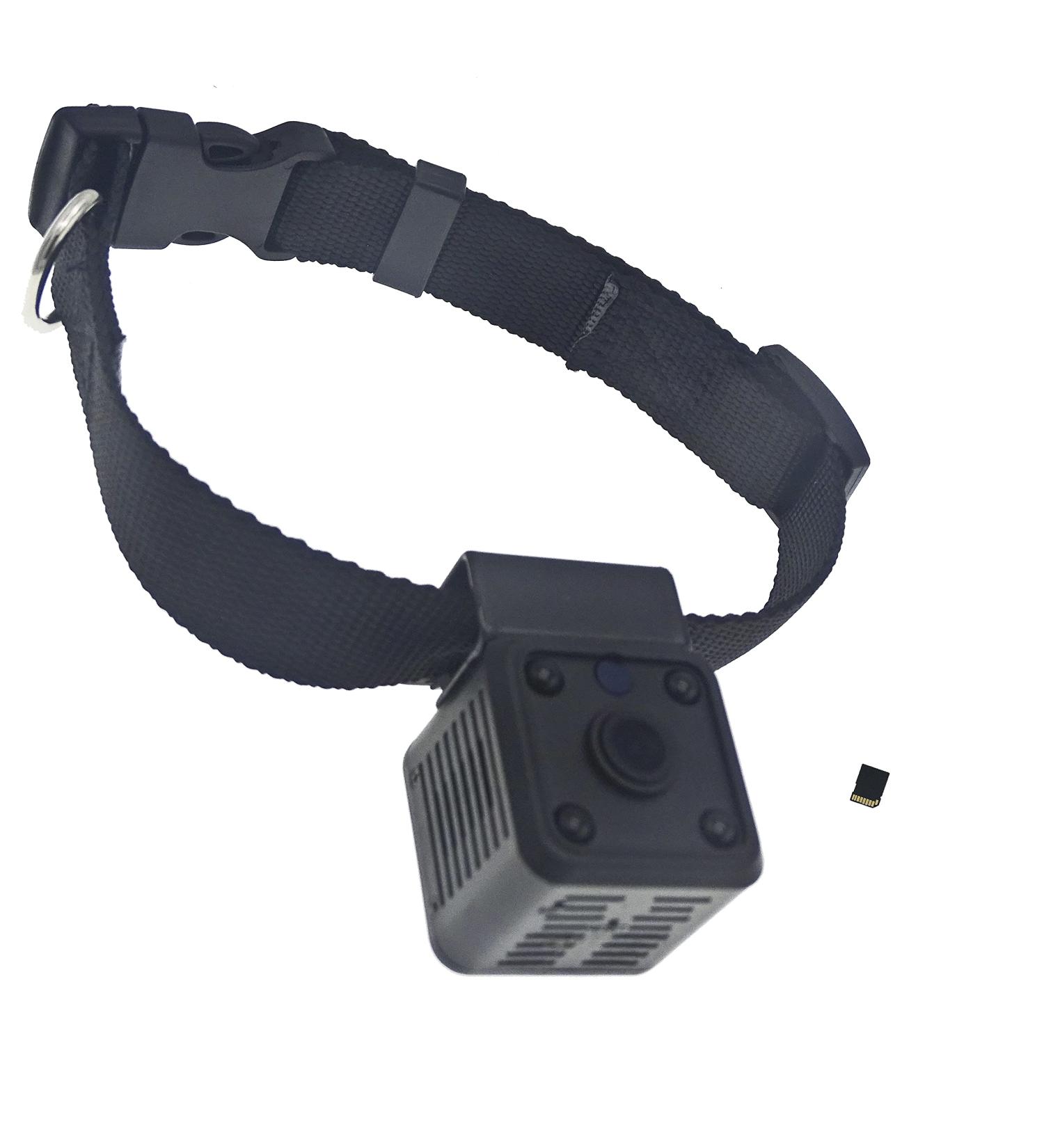 Pet Collar Camera DVR with 16GB TF Card - Black | Monitor & Record Your Dog's Adventures - Buy Online on GoSupps.com
