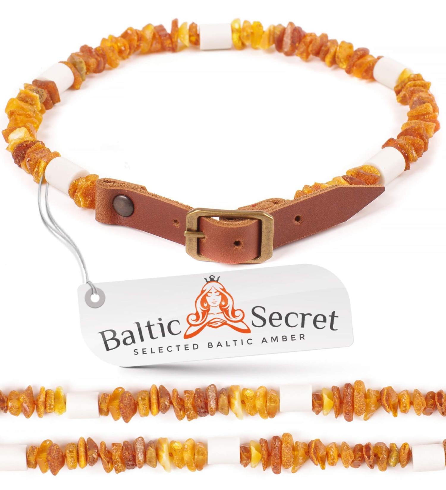 Amber Necklace for Dogs - EM Ceramic Pipes - Natural Tick Protection Collar 55-60 cm - International Shipping Available - Buy Online on GoSupps.com