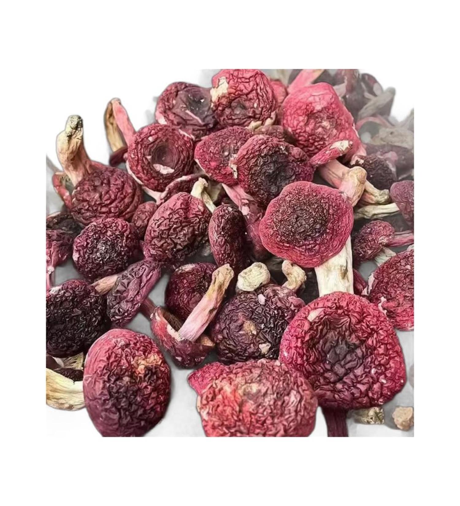 Dried Russula Red Mushroom Honggu (100g) 100g(3.53 Ounce) - Buy Online on GoSupps.com