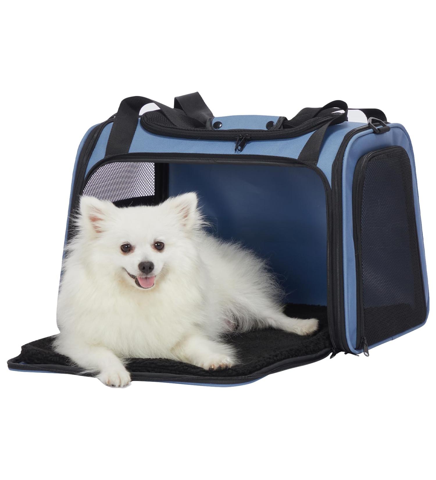 PetSfit TransportBox: Foldable Dog & Cat Carrying Bag - Portable Travel Bag with Shoulder Strap & Expandable Bed - L Size - Blue - Buy Online on GoSupps.com