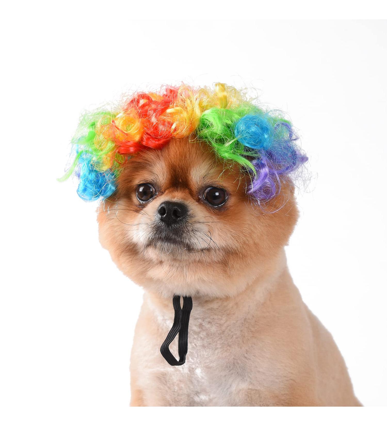 Funny Dog & Cat Role Play Wigs for Halloween & Christmas - Colorful Pet Costumes for Small Medium & Large Dogs - Buy Online on GoSupps.com