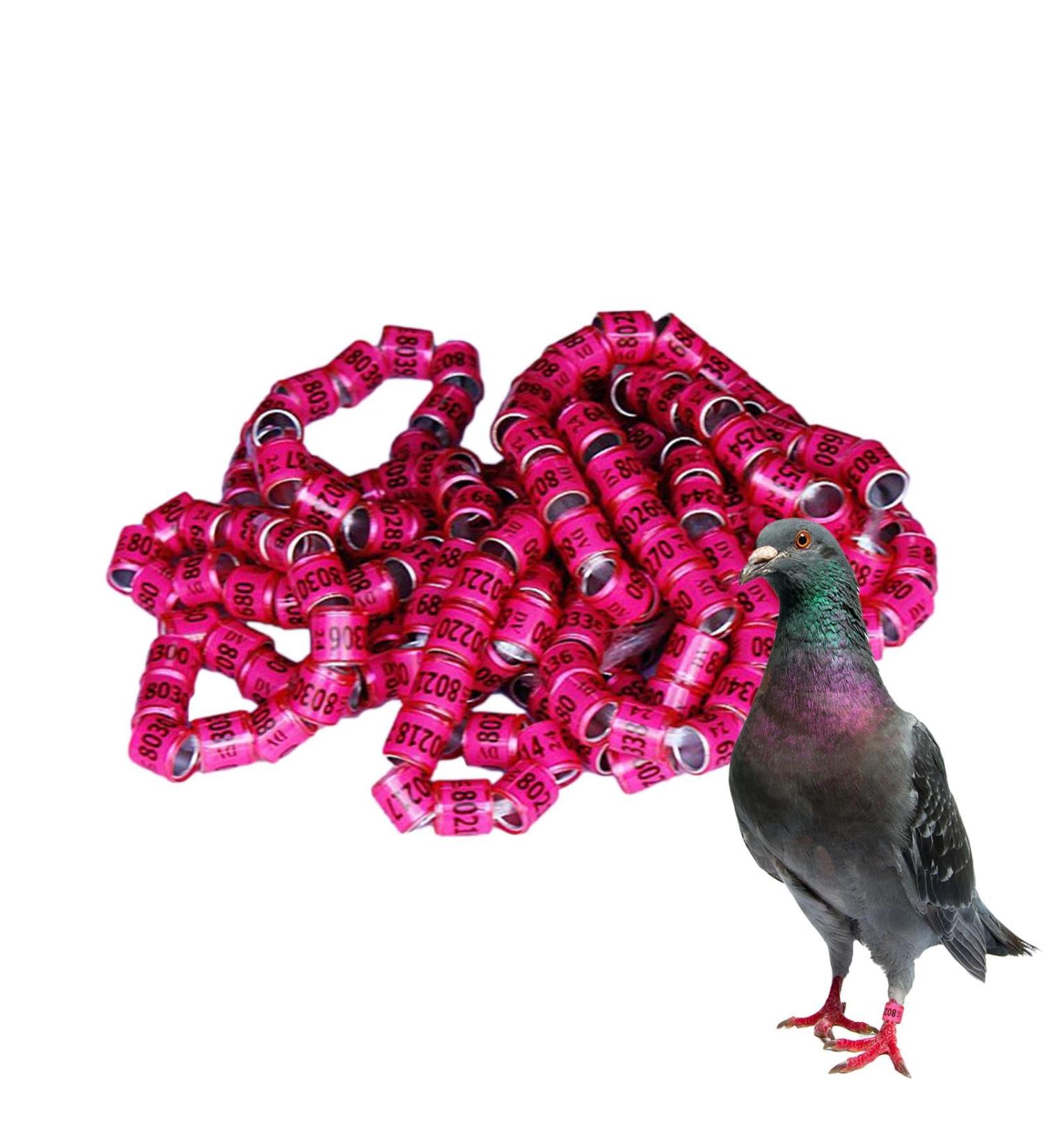 50 Multicolored Aluminum Pigeon & Chicken Leg Rings | Bird Identification Foot Rings - Training Accessories - Buy Online on GoSupps.com