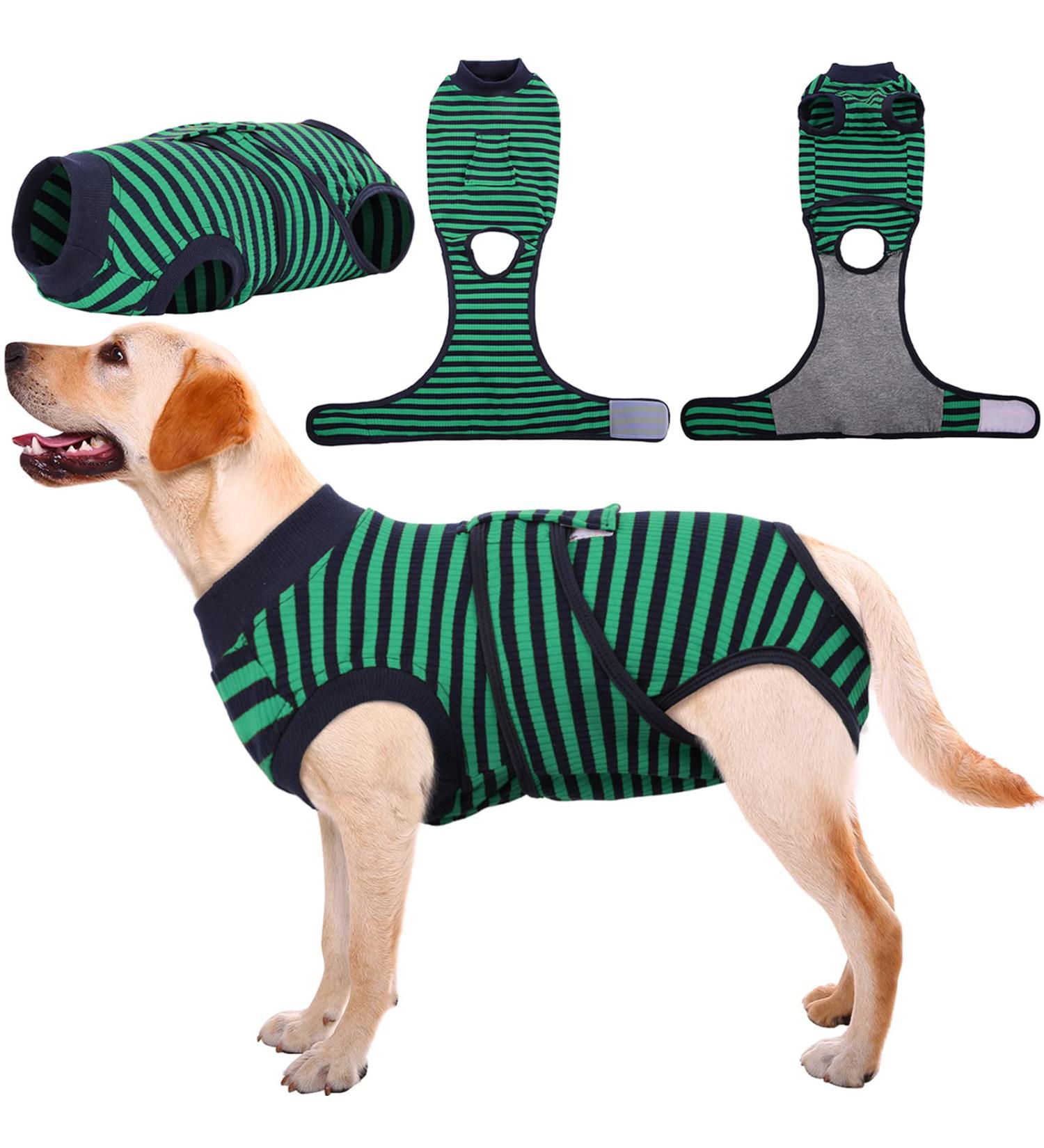 Kuoser Breathable Dog Recovery Bodysuit - Post-Op Protection for Male & Female Dogs Anti-Licking Leak Proof Green XXL (1 Pack) - Buy Online on GoSupps.com