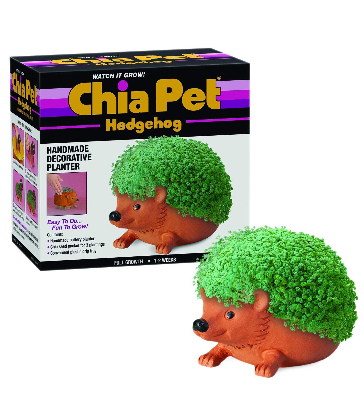 Chia Pet Planter- Hedgehog - Buy Online on GoSupps.com