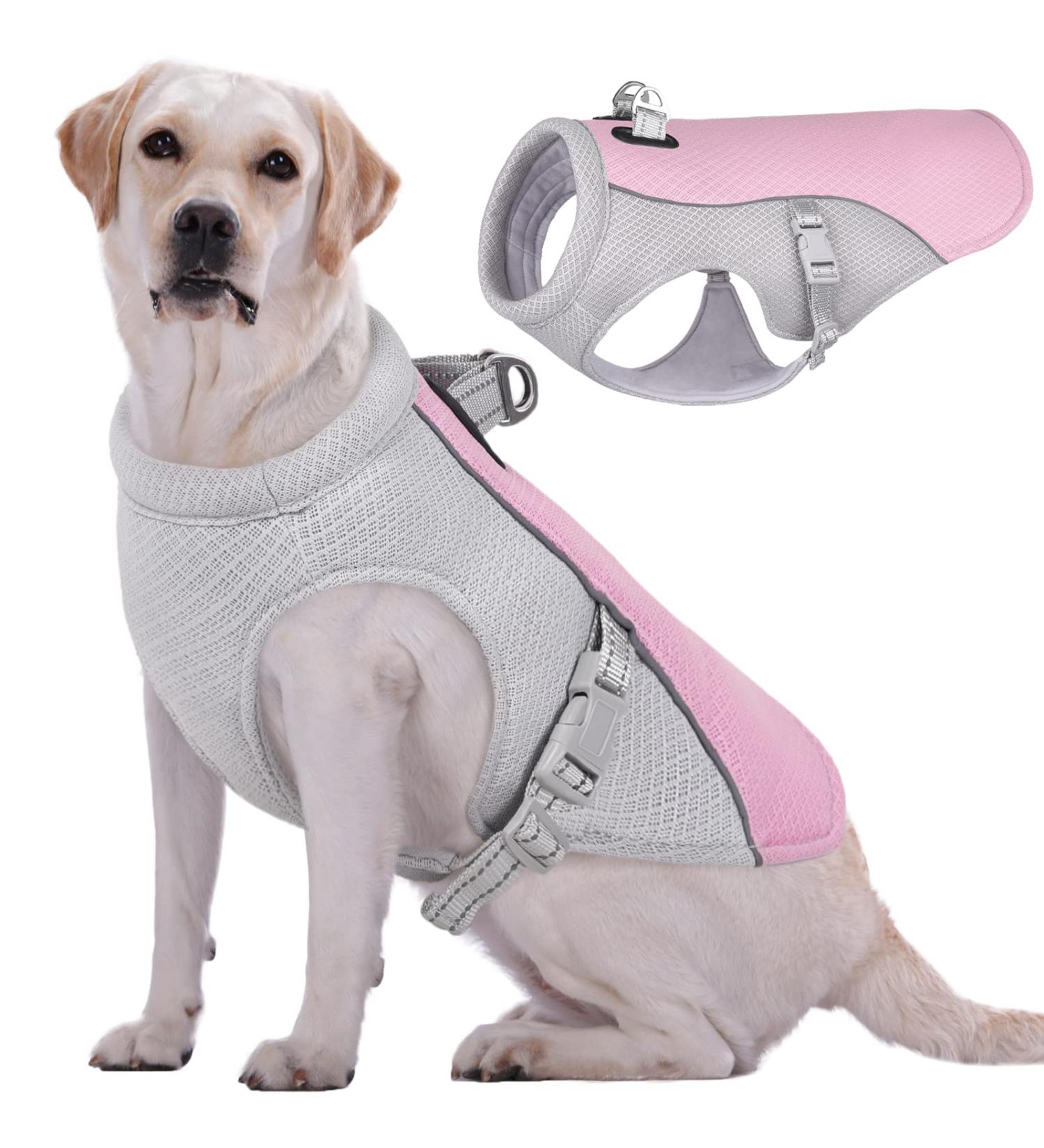 Kuoser Cool Vest for Dogs | Breathable & Reflective Cooling Coat for Hot Days | Perfect for Small to XXXL Dogs | Summer Outdoor Training Jacket - Pink - Buy Online on GoSupps.com