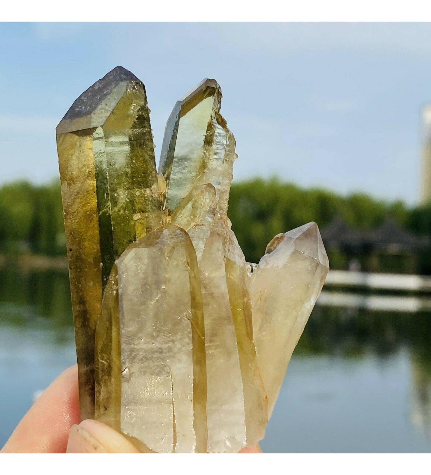 100G Natural Citrine Cluster Specimen Quartz Crystal Suitable for Home ERTEYIN - Buy Online on GoSupps.com