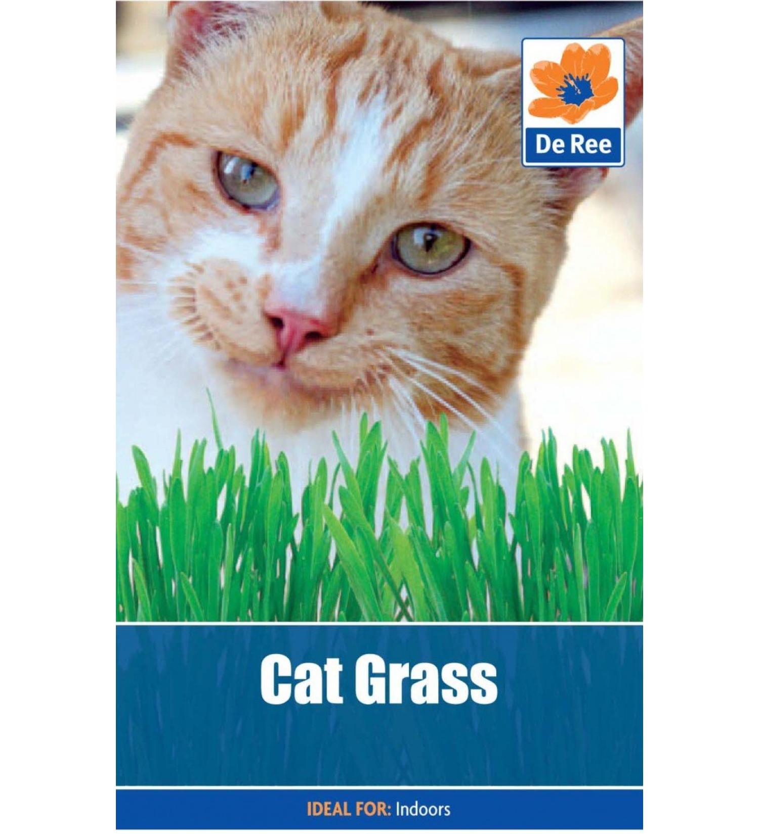 Cat Grass