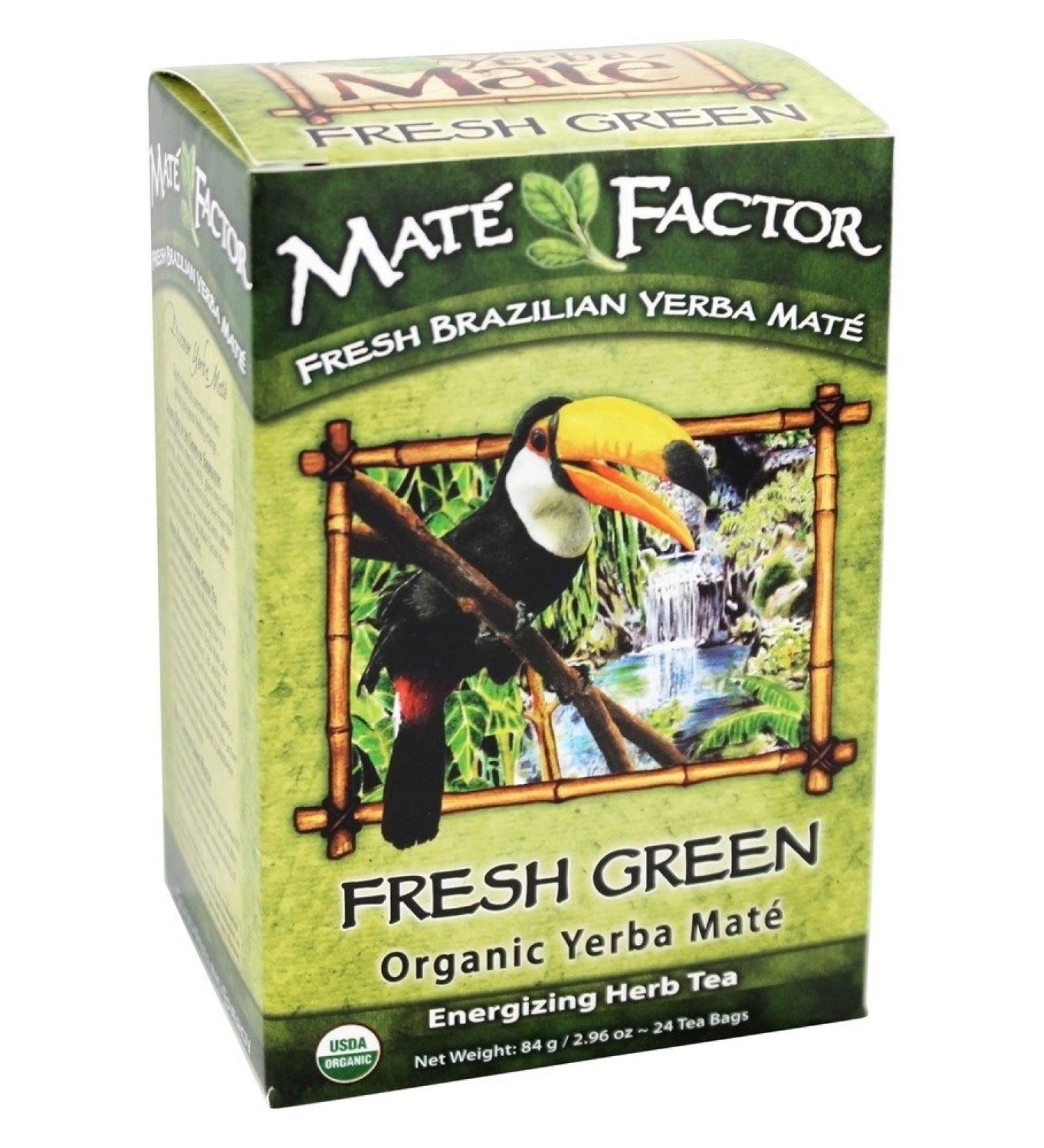 Buy Mate Factor Organic Yerba Mate - Fresh Green Tea Bags (24 Count, 2.96 oz) | Premium Herbal Boost - Buy Online on GoSupps.com