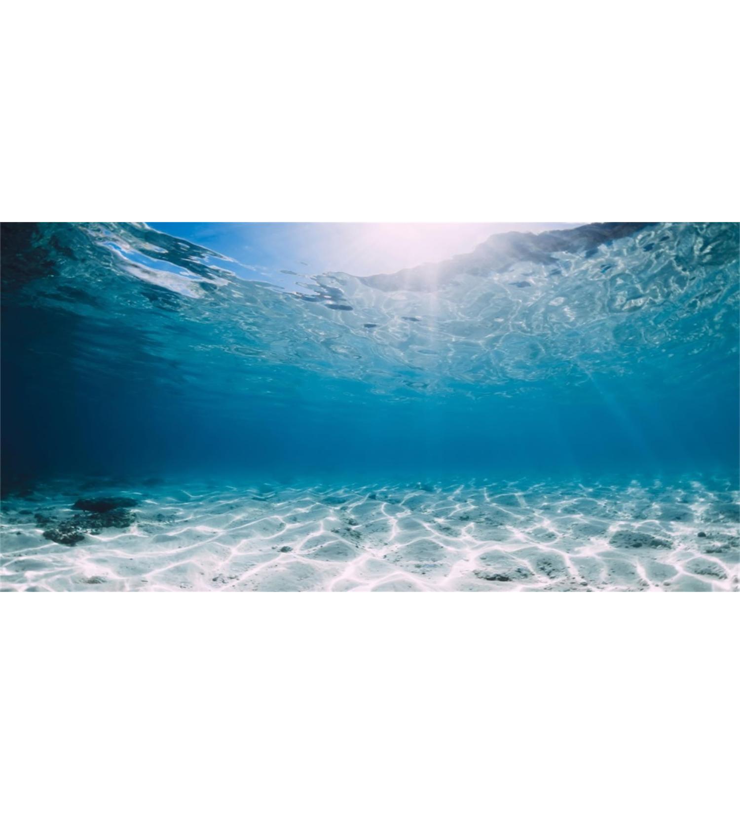 MIRRORANG 61x30cm Durable Vinyl Undersea Ocean Floor Aquarium Background Tropical Tank Background 61x30cm style 4