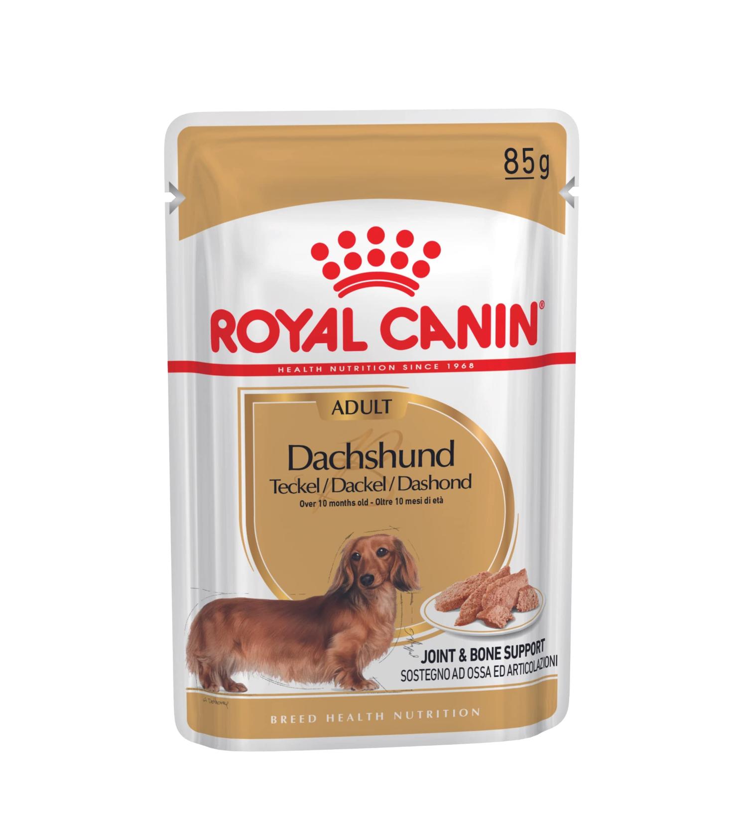 Royal Canin Dachshund Adult Mousse | 12 x 85 g | Complete Food for Dogs | for Adult Dachshunds | May Help Protect Bones and Joints - Buy Online on GoSupps.com
