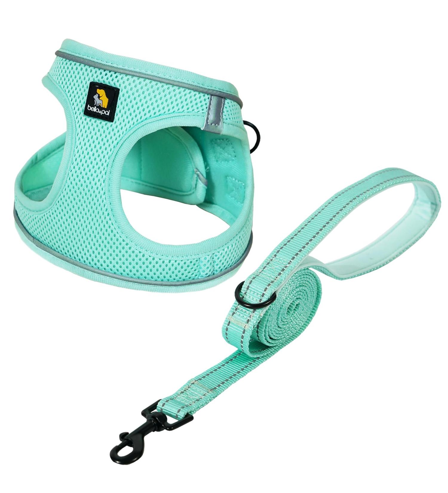 Bella & Pal Dog Harness for Small Dogs | Air Mesh Step-In Harness with Leash | Reflective & Breathable Puppy Gear | Mint Green - (40-45cm Breast Size) - Buy Online on GoSupps.com