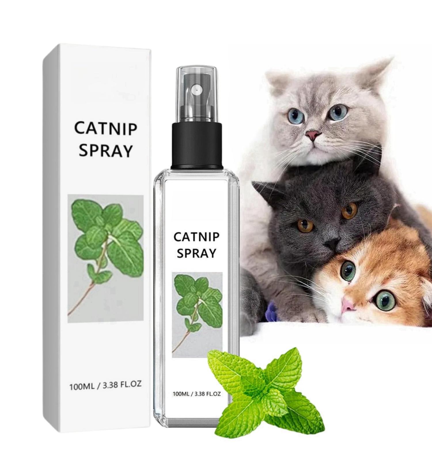 100ml Herbal Cat Joy Spray Herbal Cat Joy Celery Pets Catnip Spray for Cats Cat Scratching Spray Mist Cat Training Spray with Catnip Catnip Spray for Indoor Cats Cat Nips Spray for Cat Anxiety Relief - Buy Online on GoSupps.com