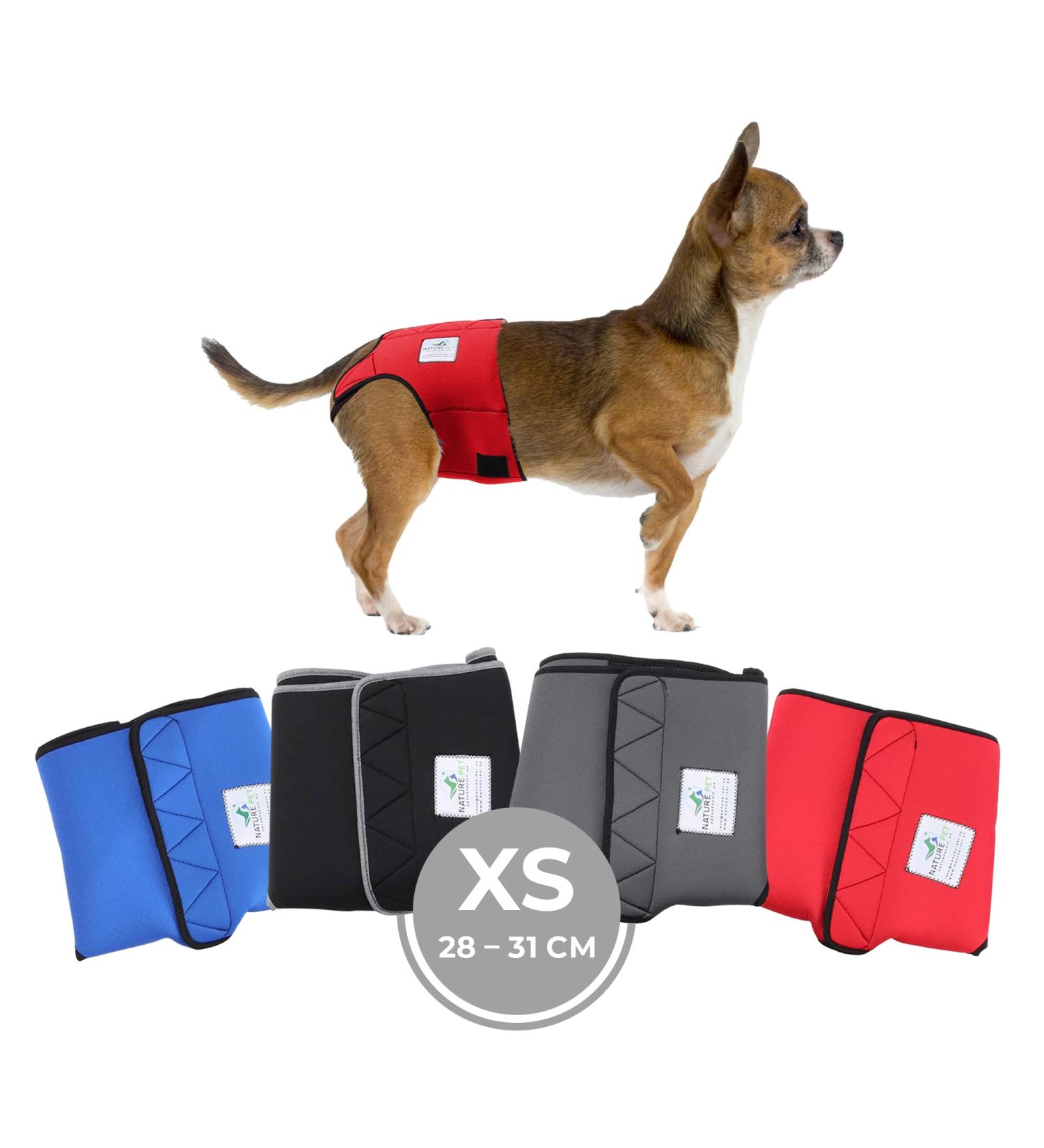 Sailing Trousers for Dogs 2.0 - High-Quality Neoprene Diapers for Males No Rod Threading Optimal Air Exchange - XS Red - Buy Online on GoSupps.com