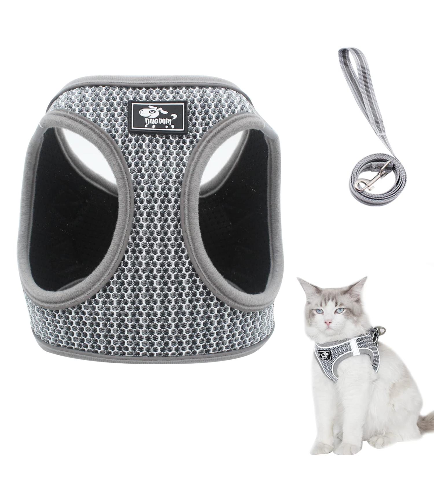 Adjustable Cat Dishes with Leash - Outbreak-Proof Reflective Tableware Set for Cats & Small Dogs (Gray XS) - Buy Online on GoSupps.com