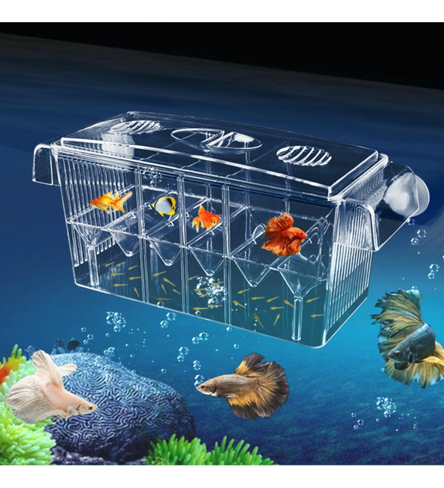 4 Rooms HD Fish Breeding Box Aquarium - Double Hatching Incubator & Isolation Box for Guppy Baby Fish - Buy Online on GoSupps.com