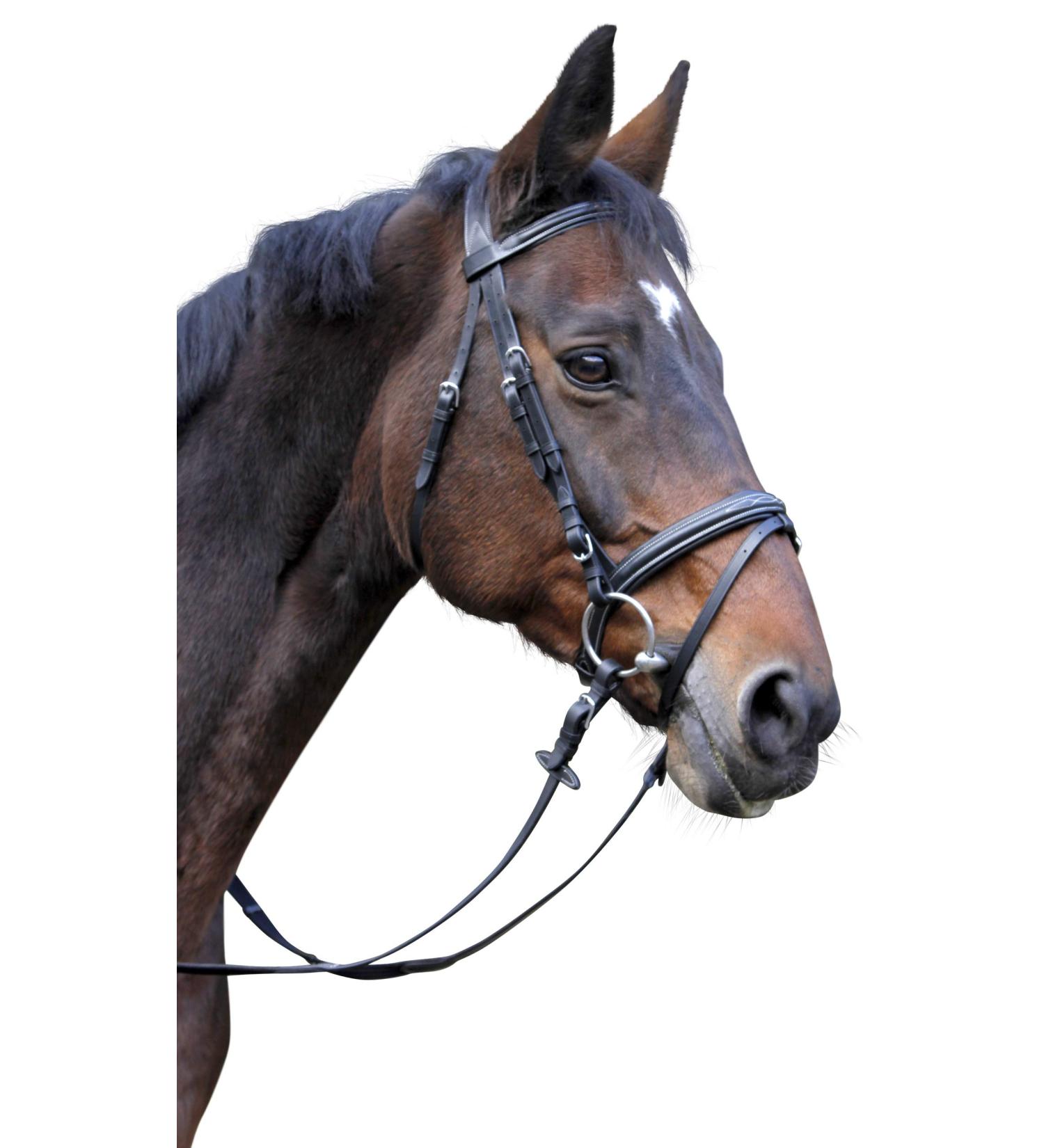 Buy Kerbl 326138 Classic Leather Bridle in Black for Cob & Thoroughbred | Premium Quality eCommerce Shipping Worldwide - Buy Online on GoSupps.com